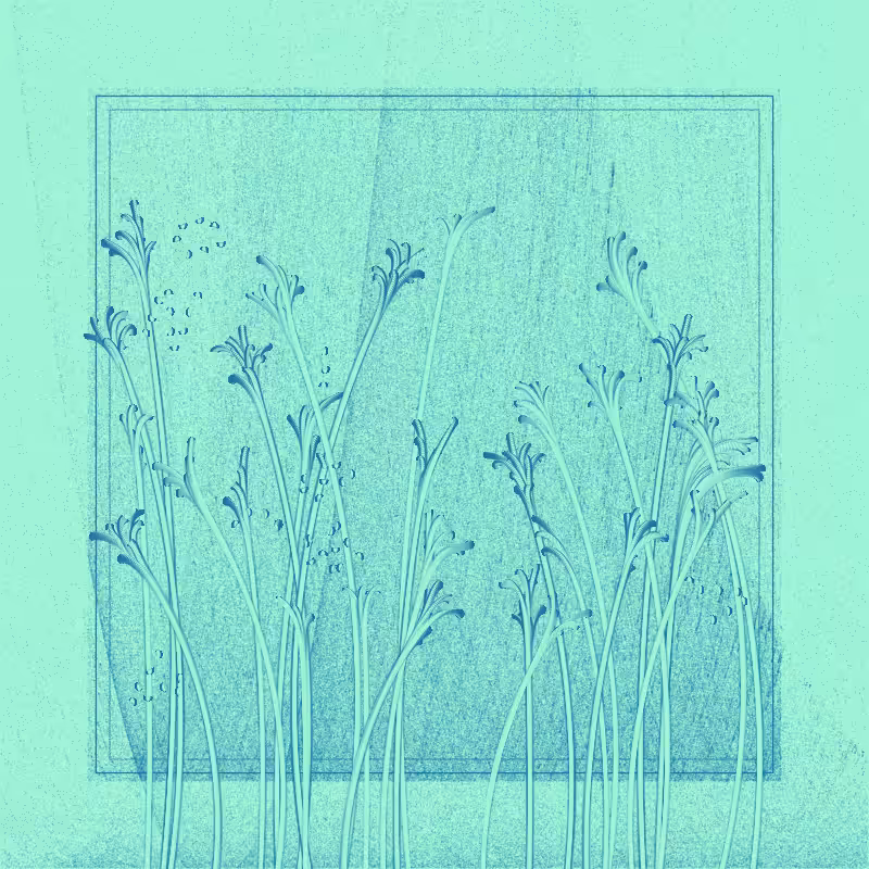 string_pllu #55
