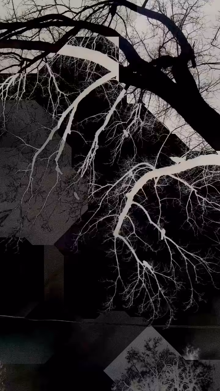 Flickering Tree