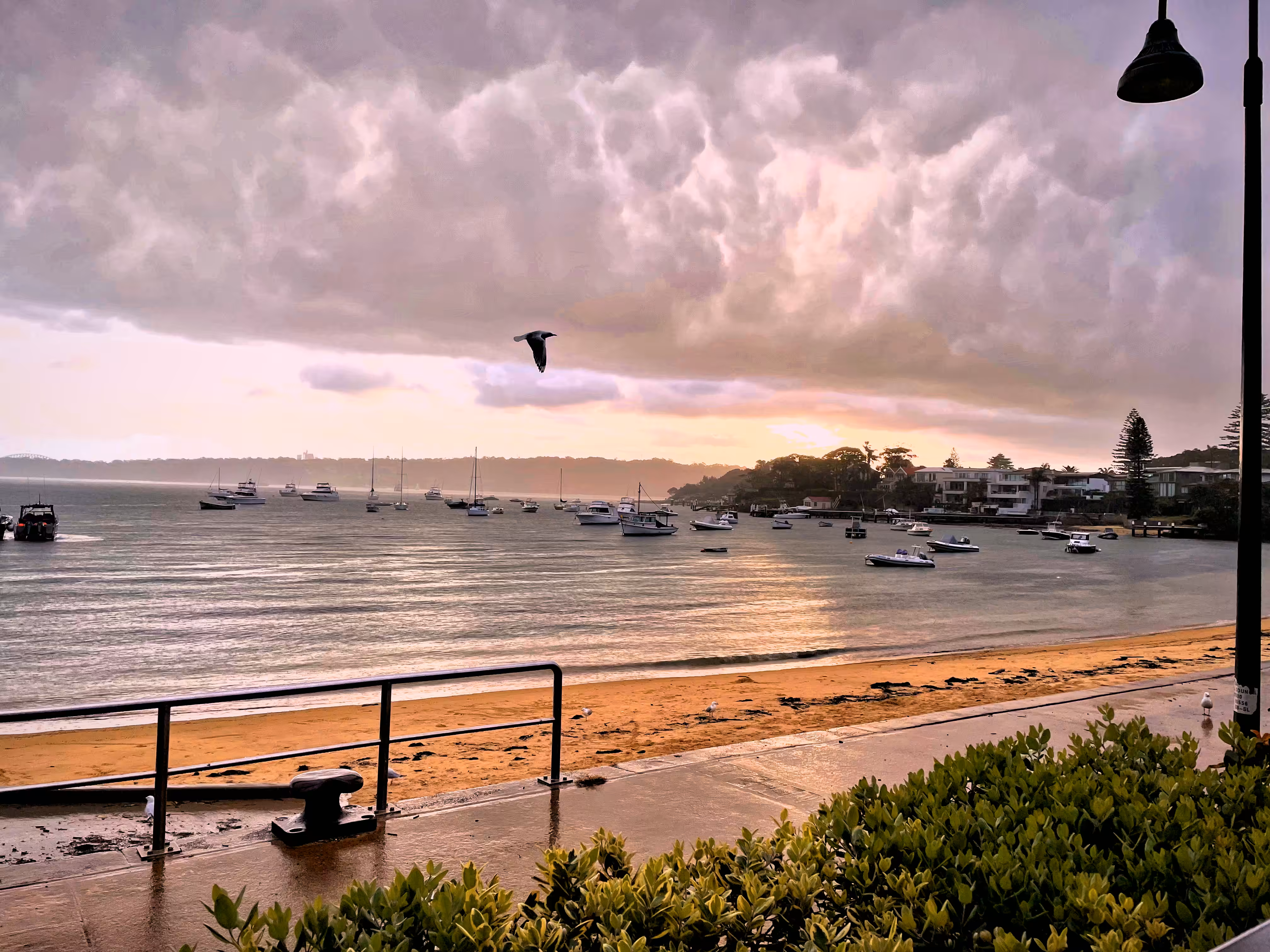 Watsons Bay #001