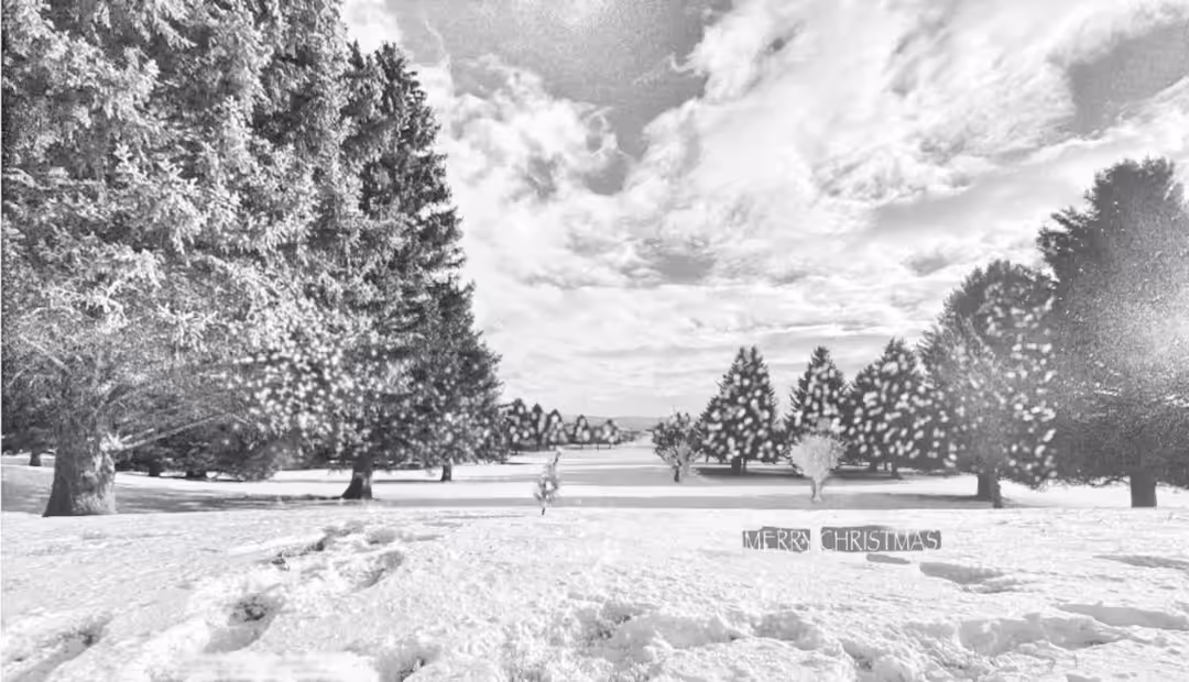 Snow Christmas  and Holiday season love Anna Wilding #2