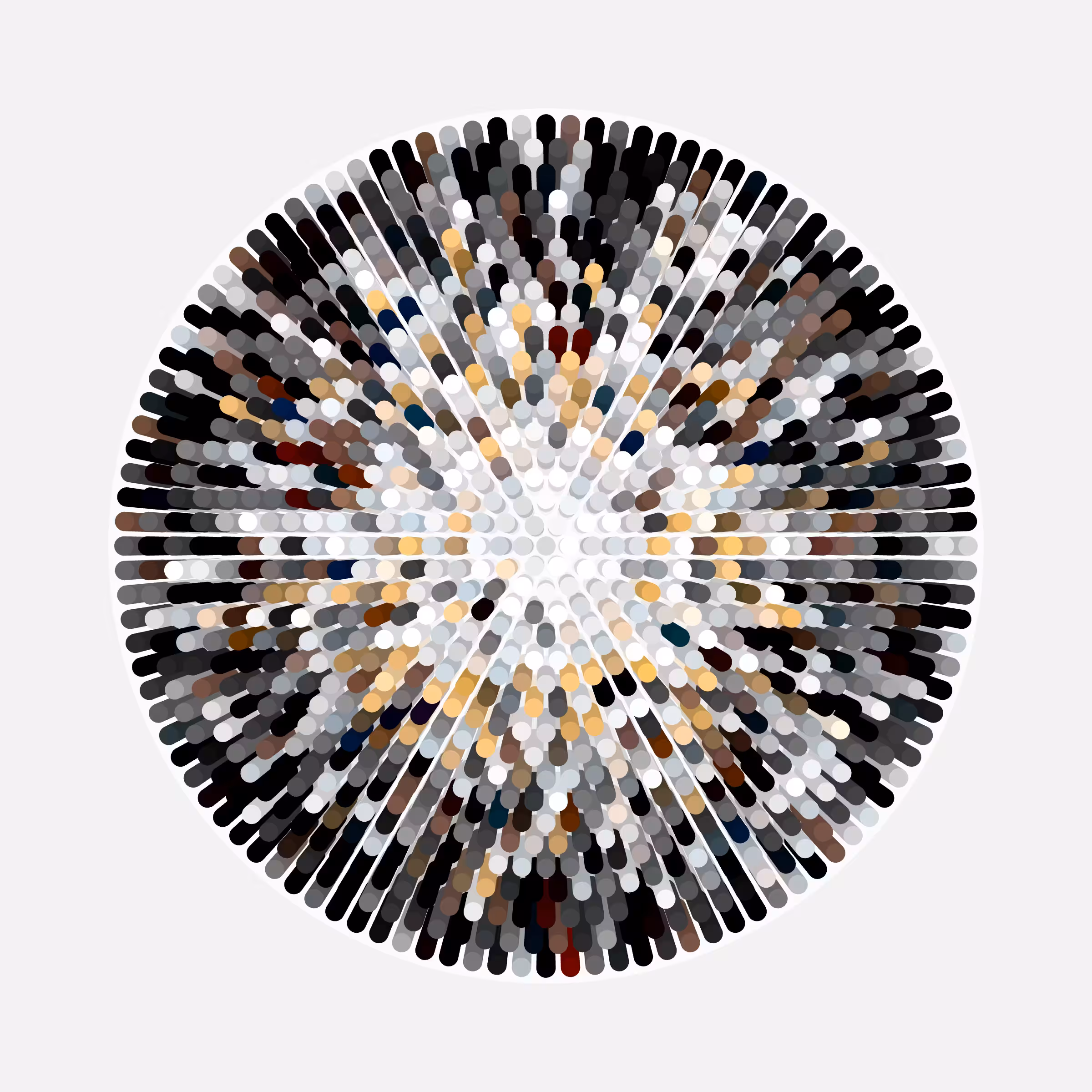 Transitions #1521