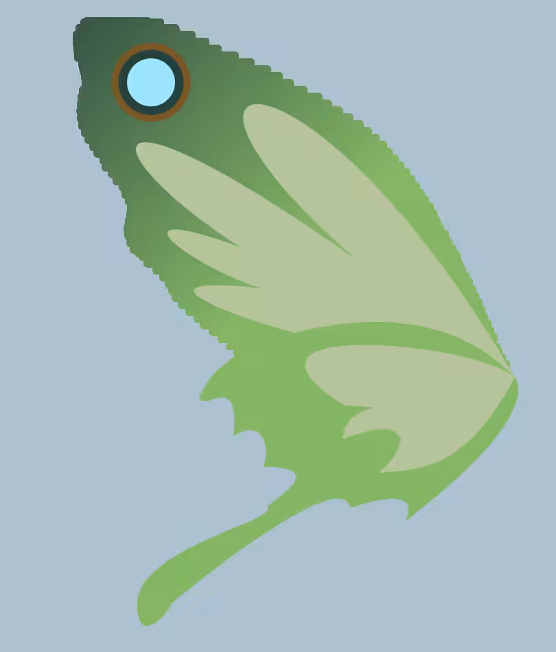 butter+fly #25