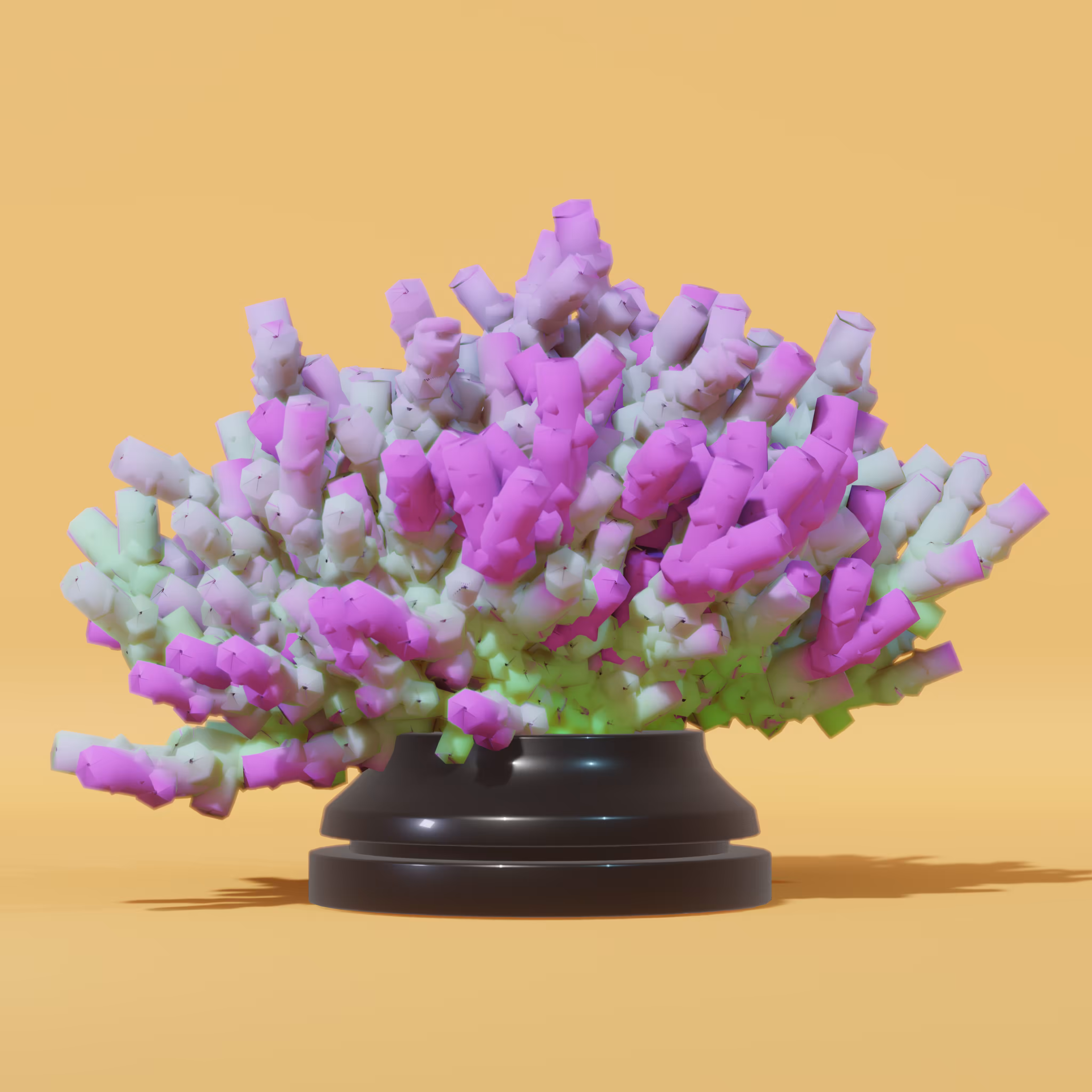 Acropora Sculpture - #03