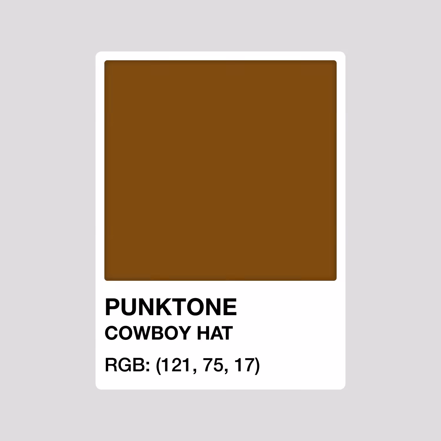 PUNKTONE COWBOY HAT