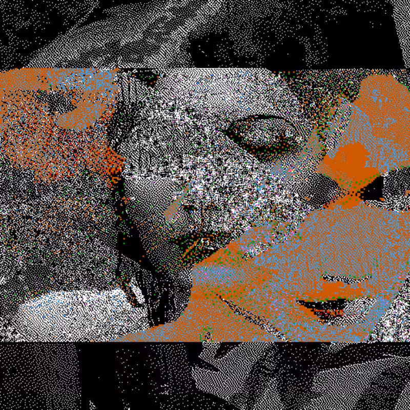Whipped Dream #137