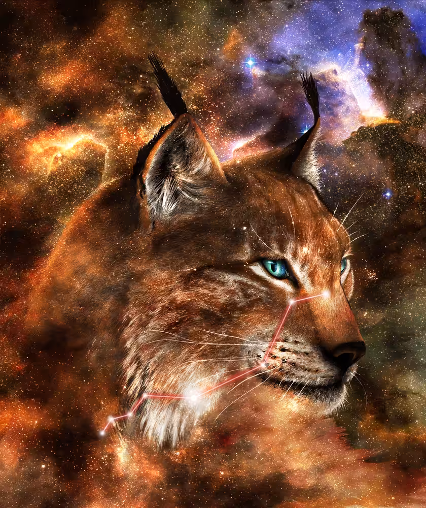 Alsciaukat of the Lyncis