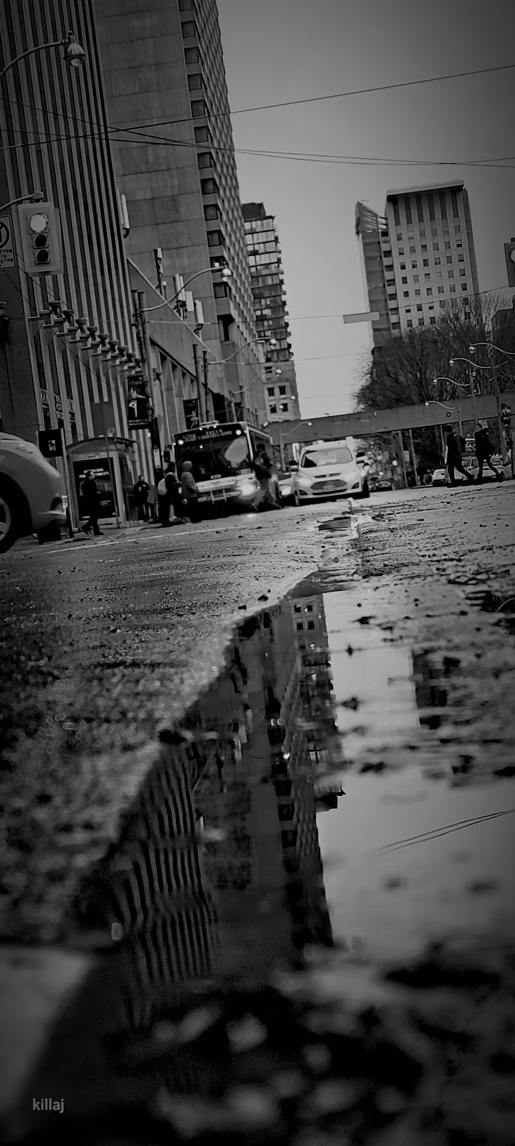 city views 