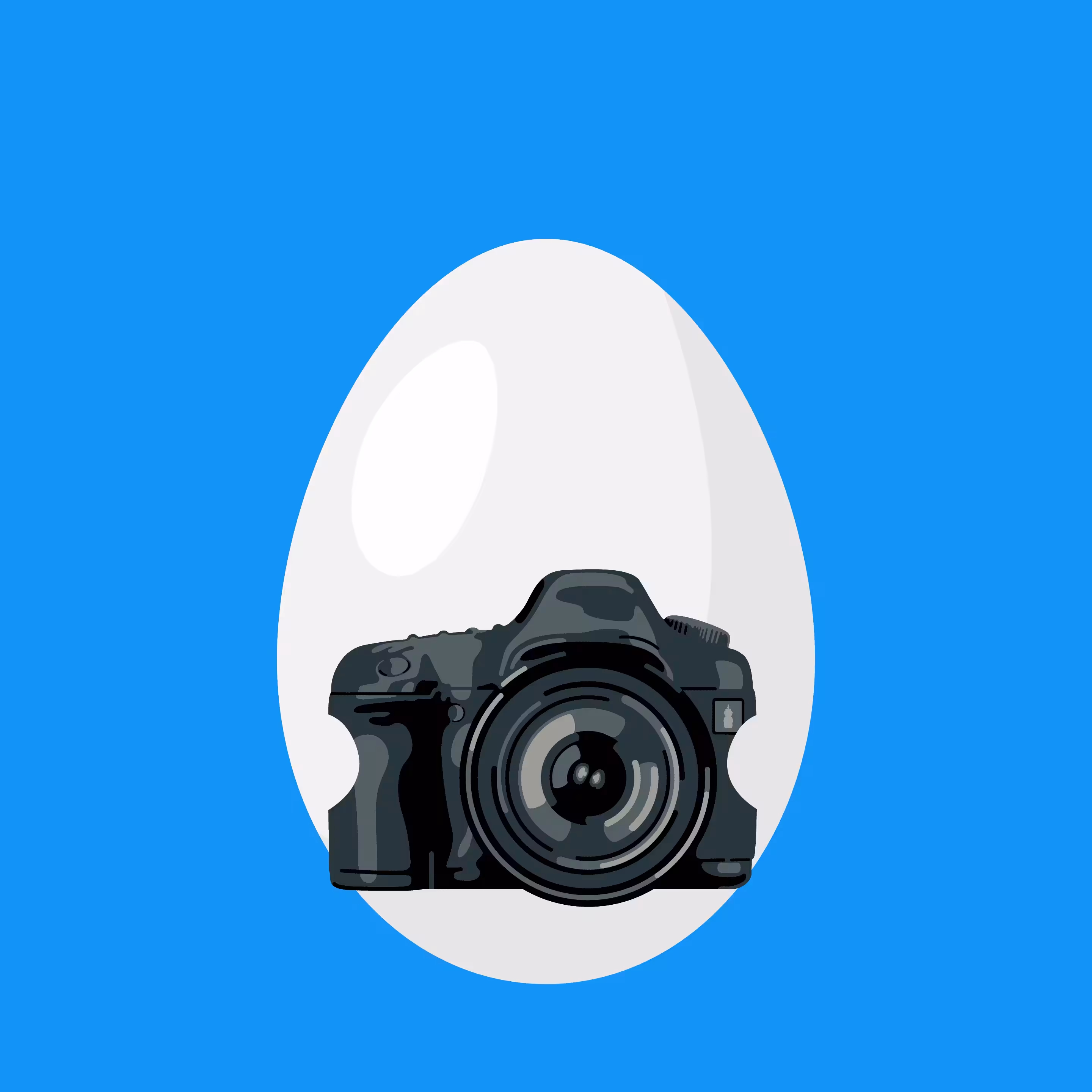 Camera Egg