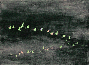 c๏ɭɭค๒๏яค†๏яร: <   somewhere     between   here and gone >