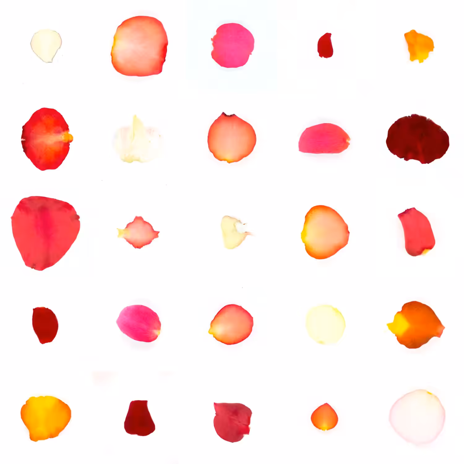 Infinite Petals 5x5#359