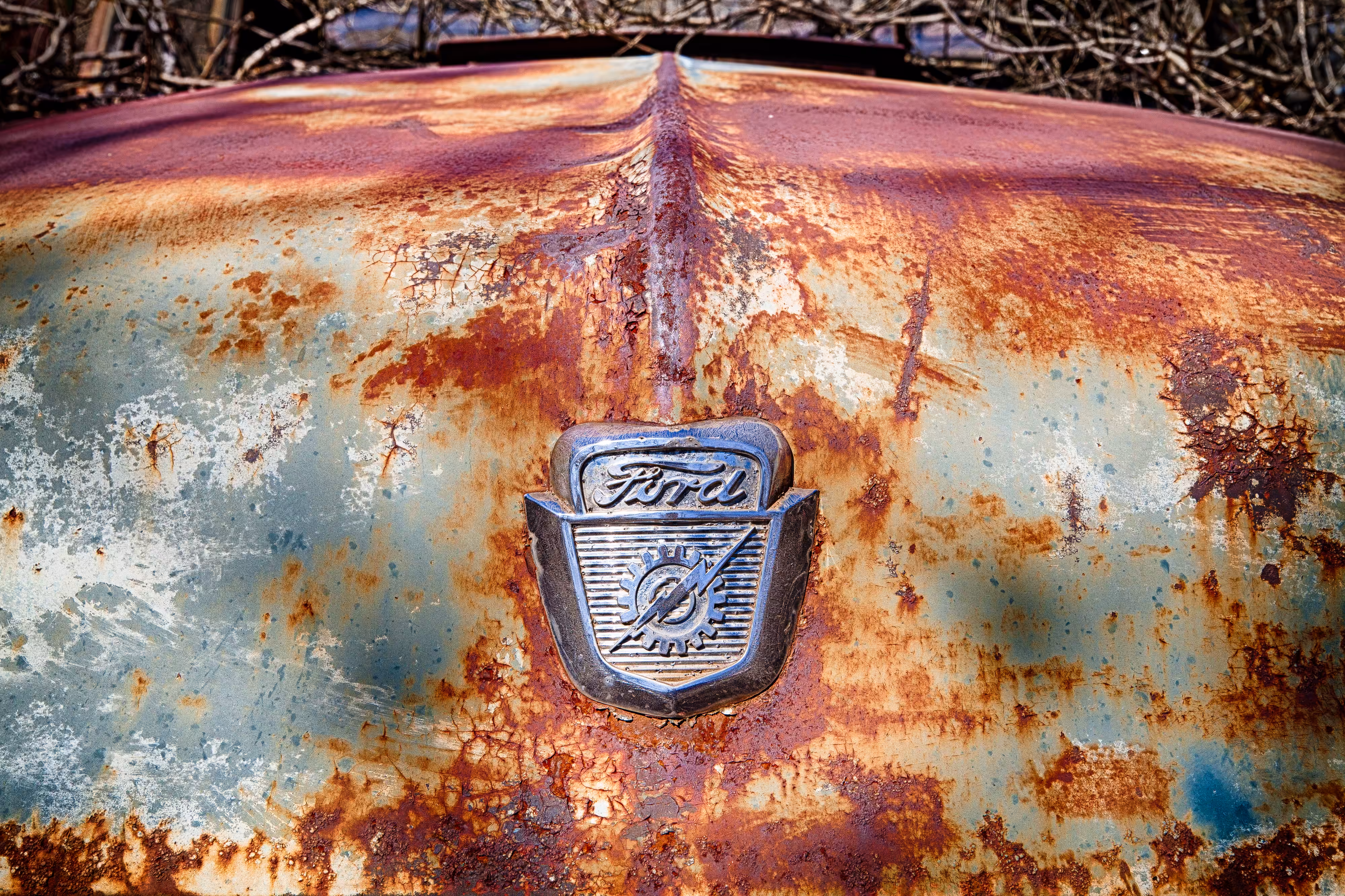 Emblematic - Ford hood