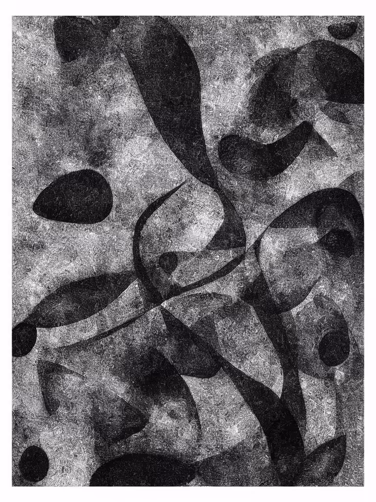 Found Images II #14