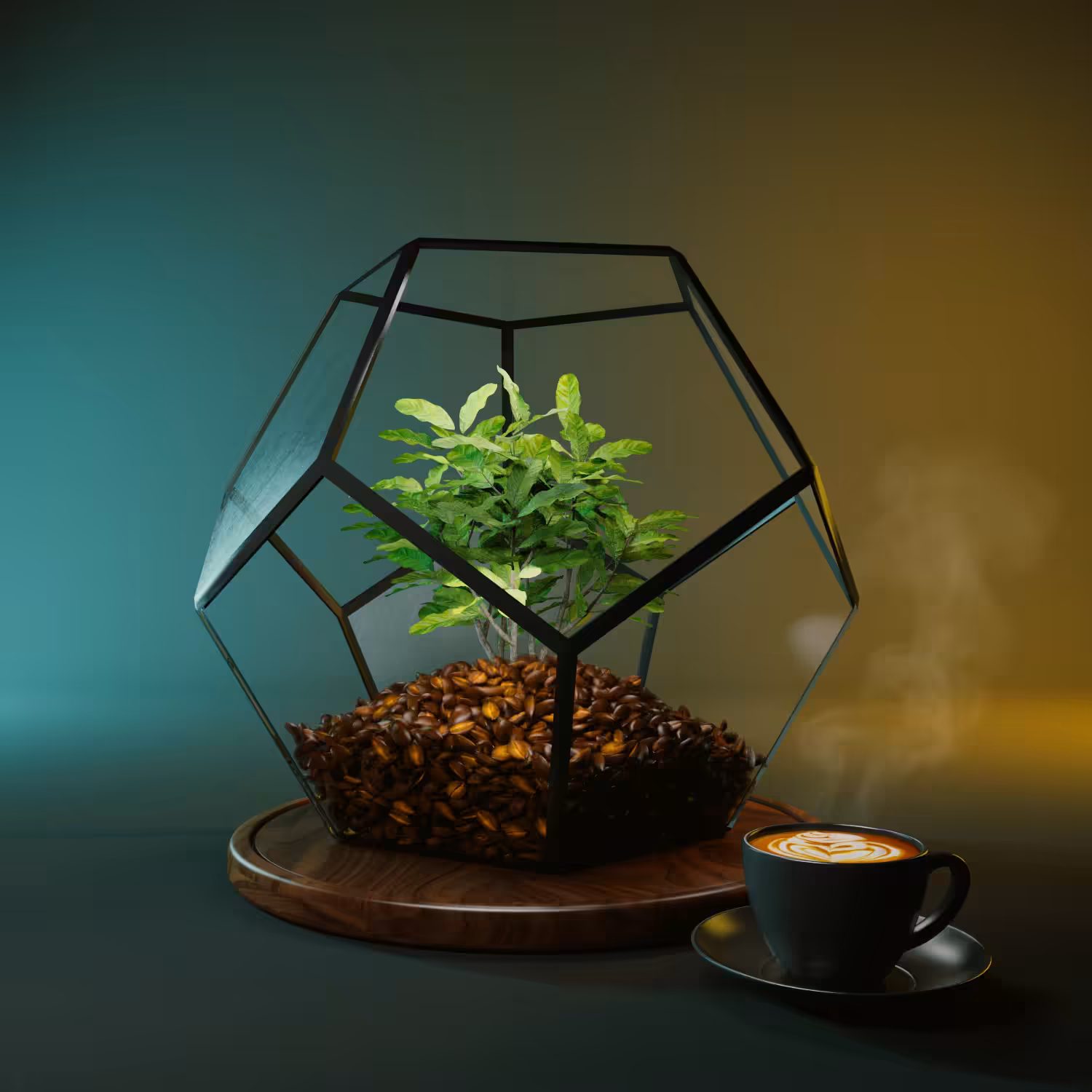 Terrarium Coffee