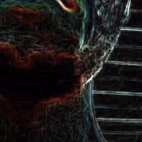 XXIN 