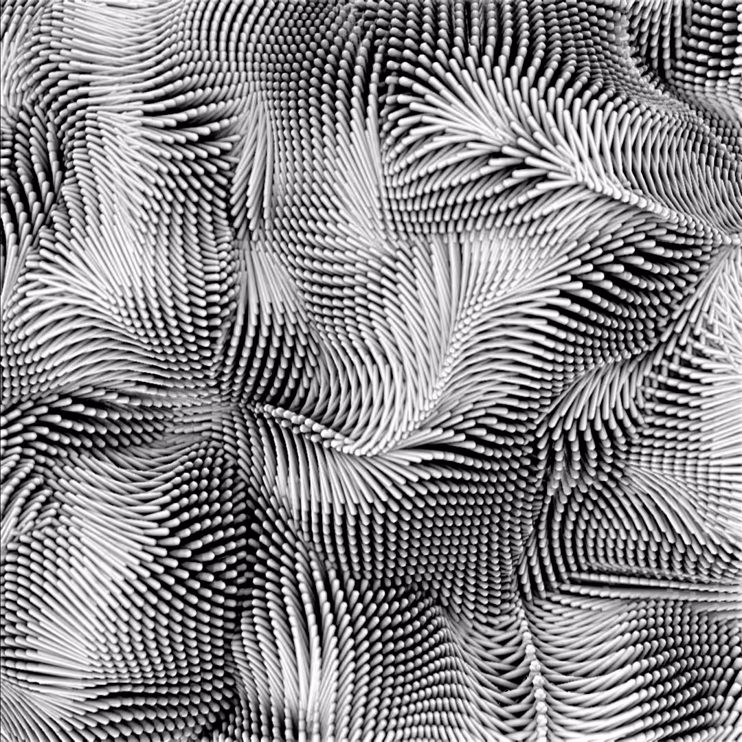 monoalgae. algae_02