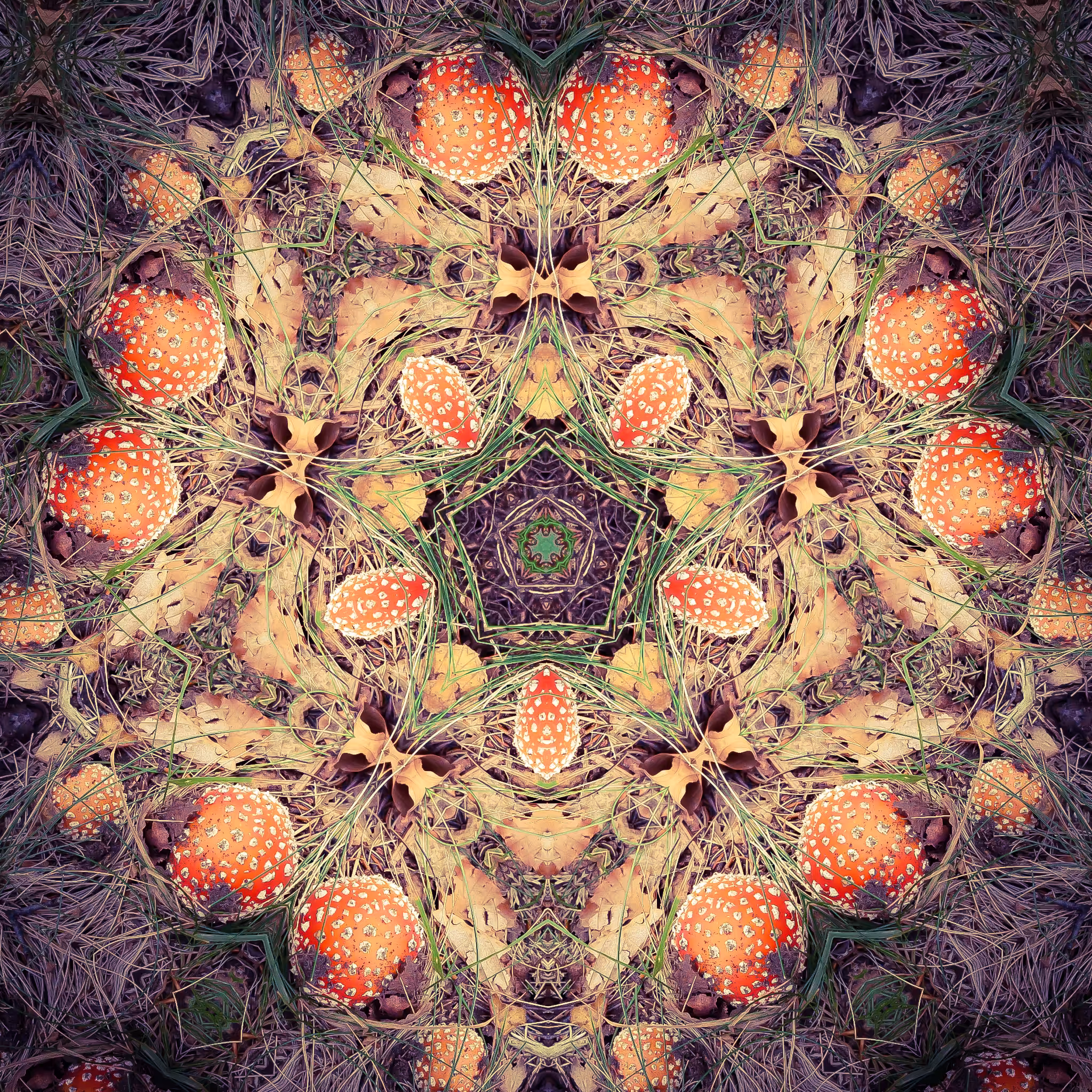 Magic Forest Treasures