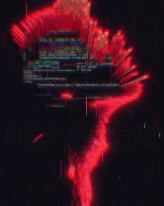 1/1