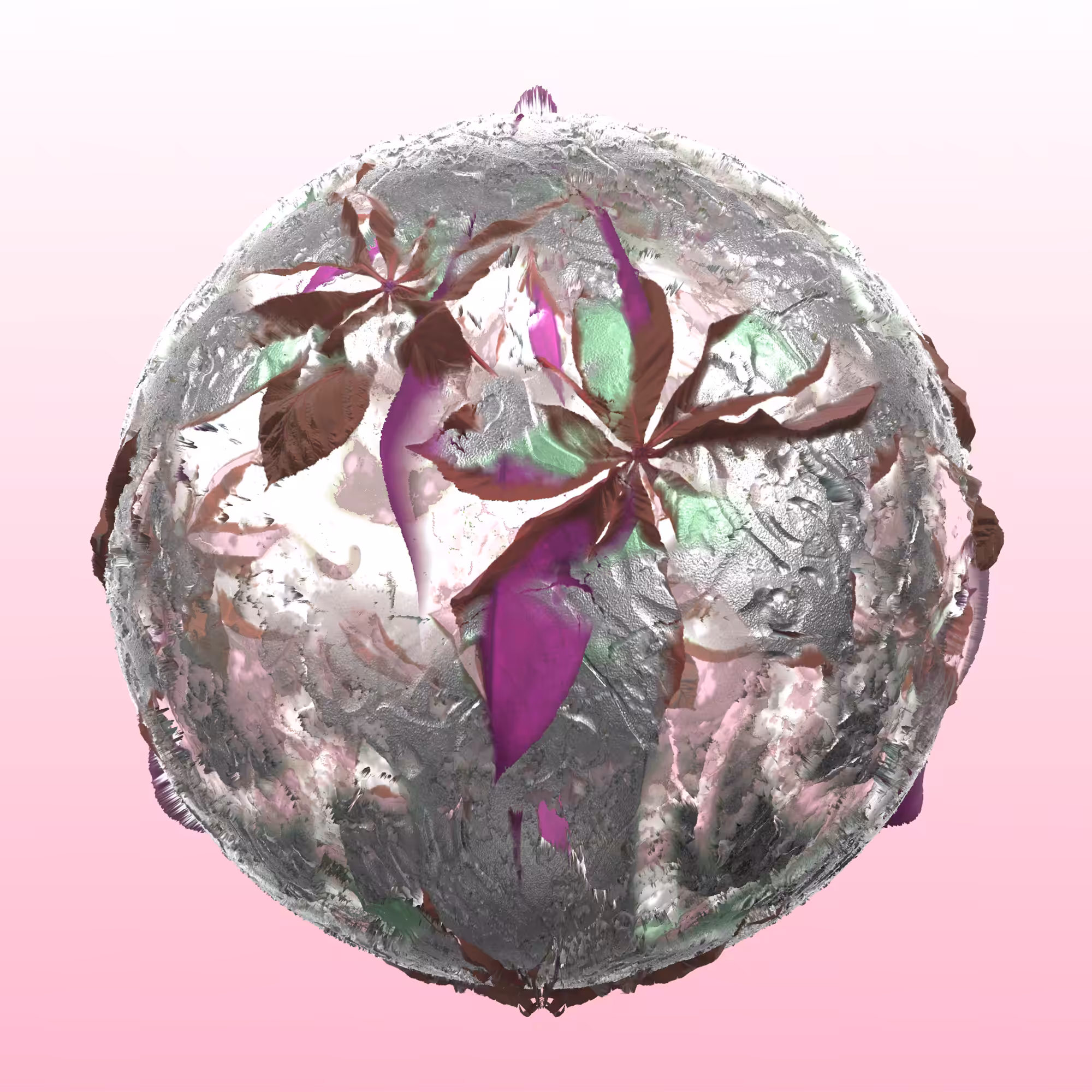 Pereamus N.1