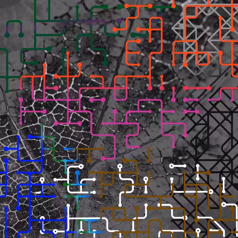 CHAOS #23