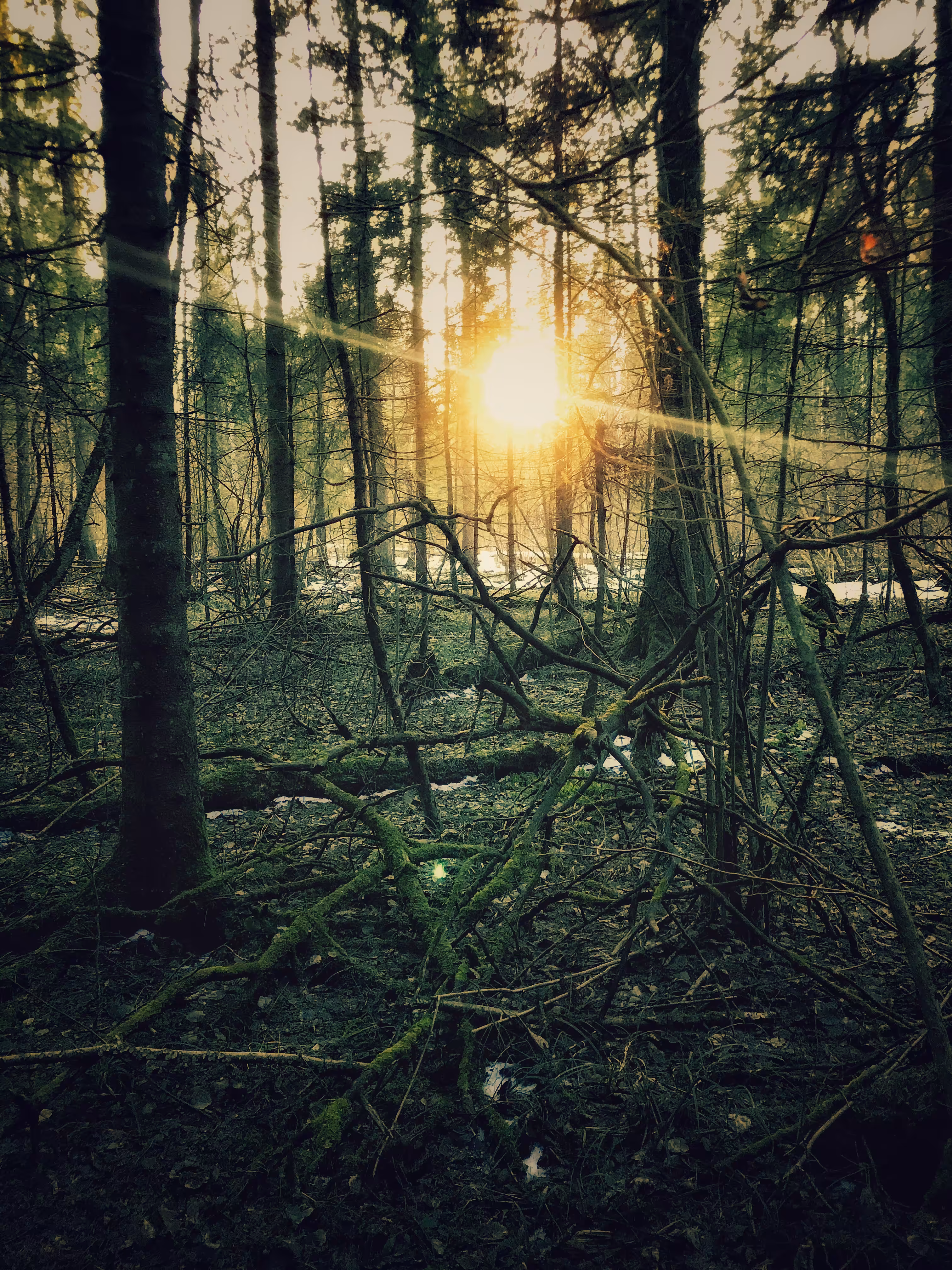 New Sun