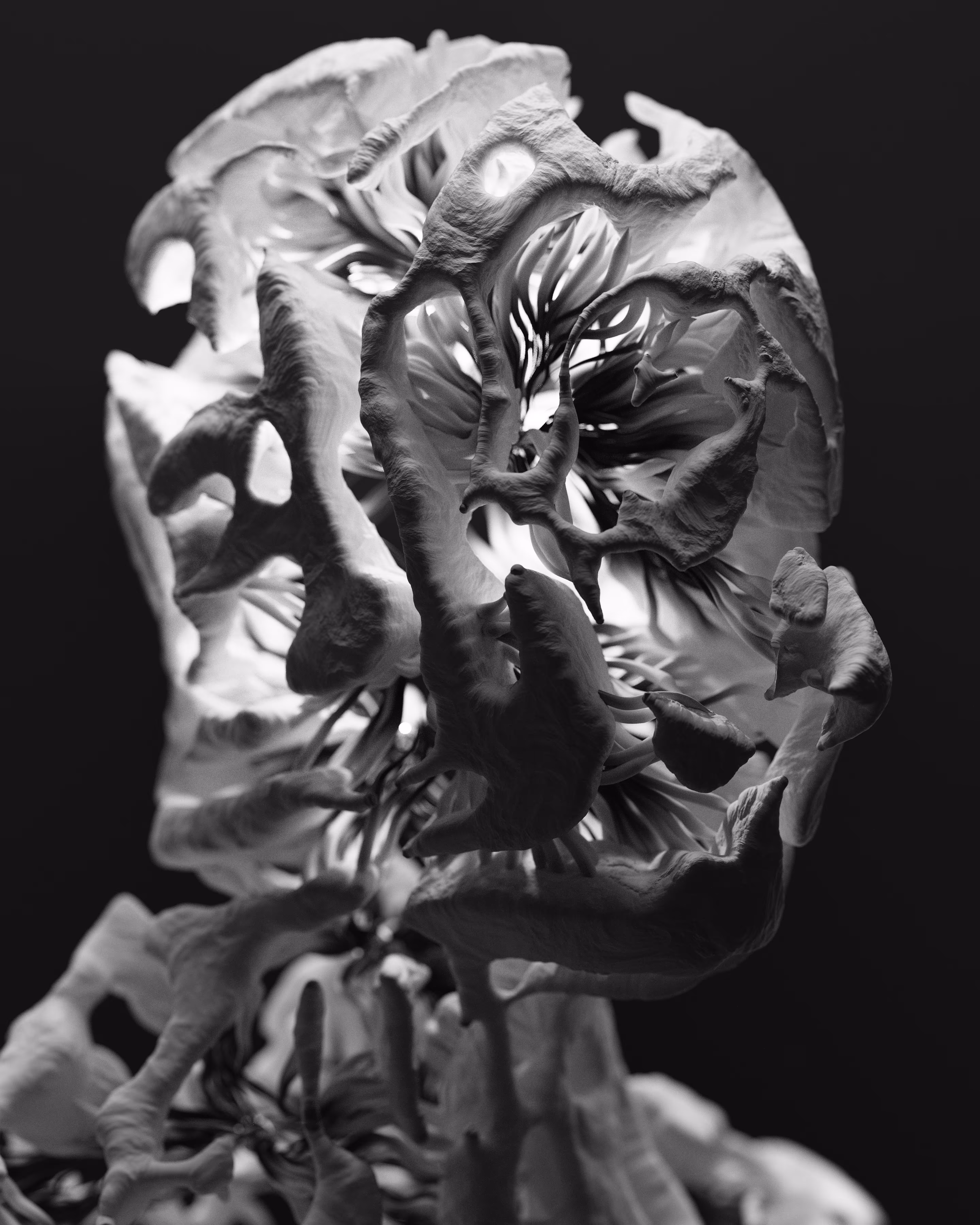kor-alt_05