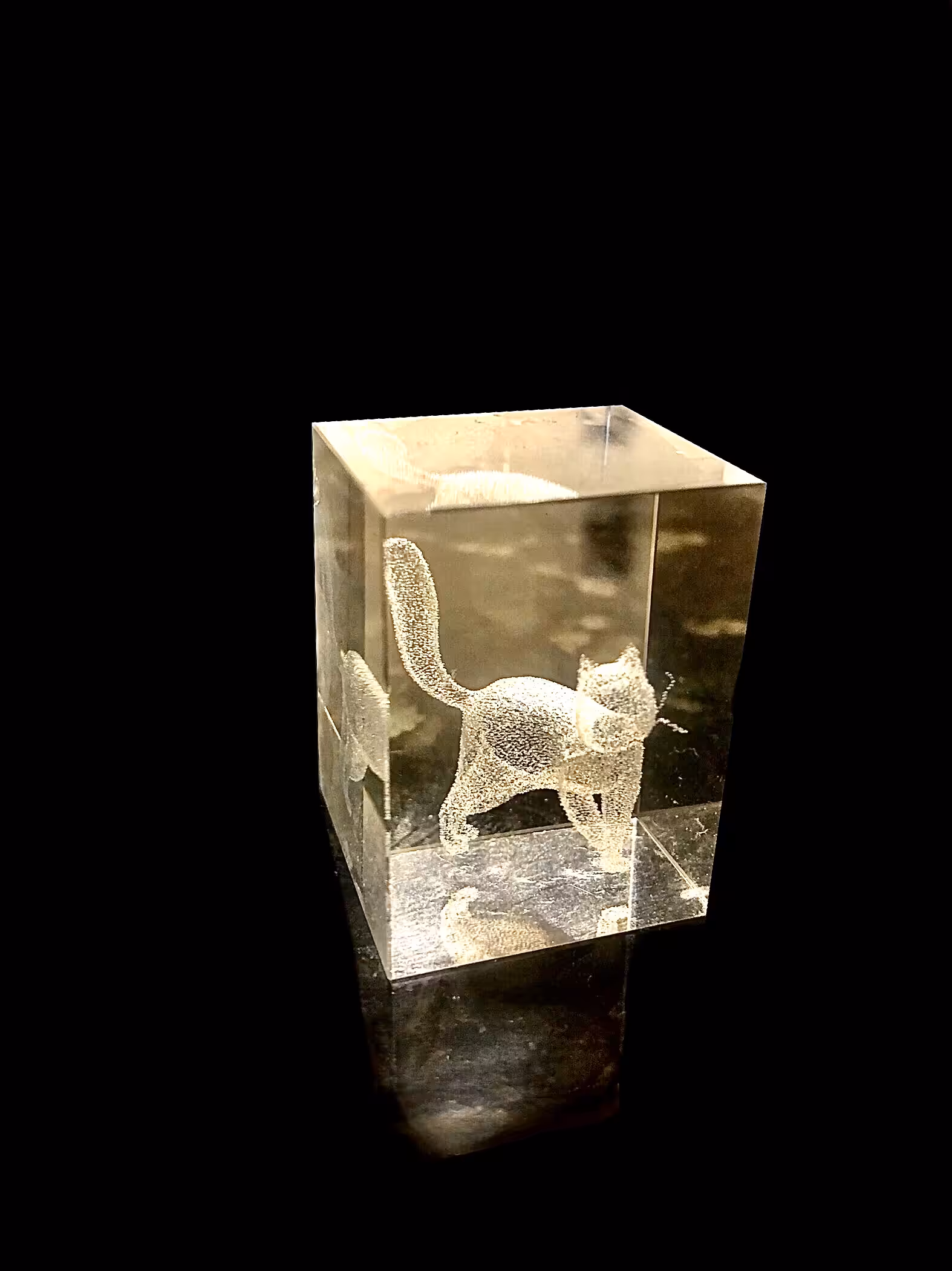 MAGIC ITEM (10): CAT CRYSTAL