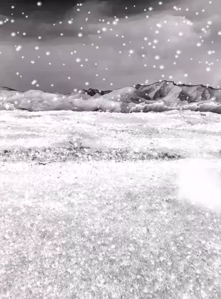 The Winter Plain