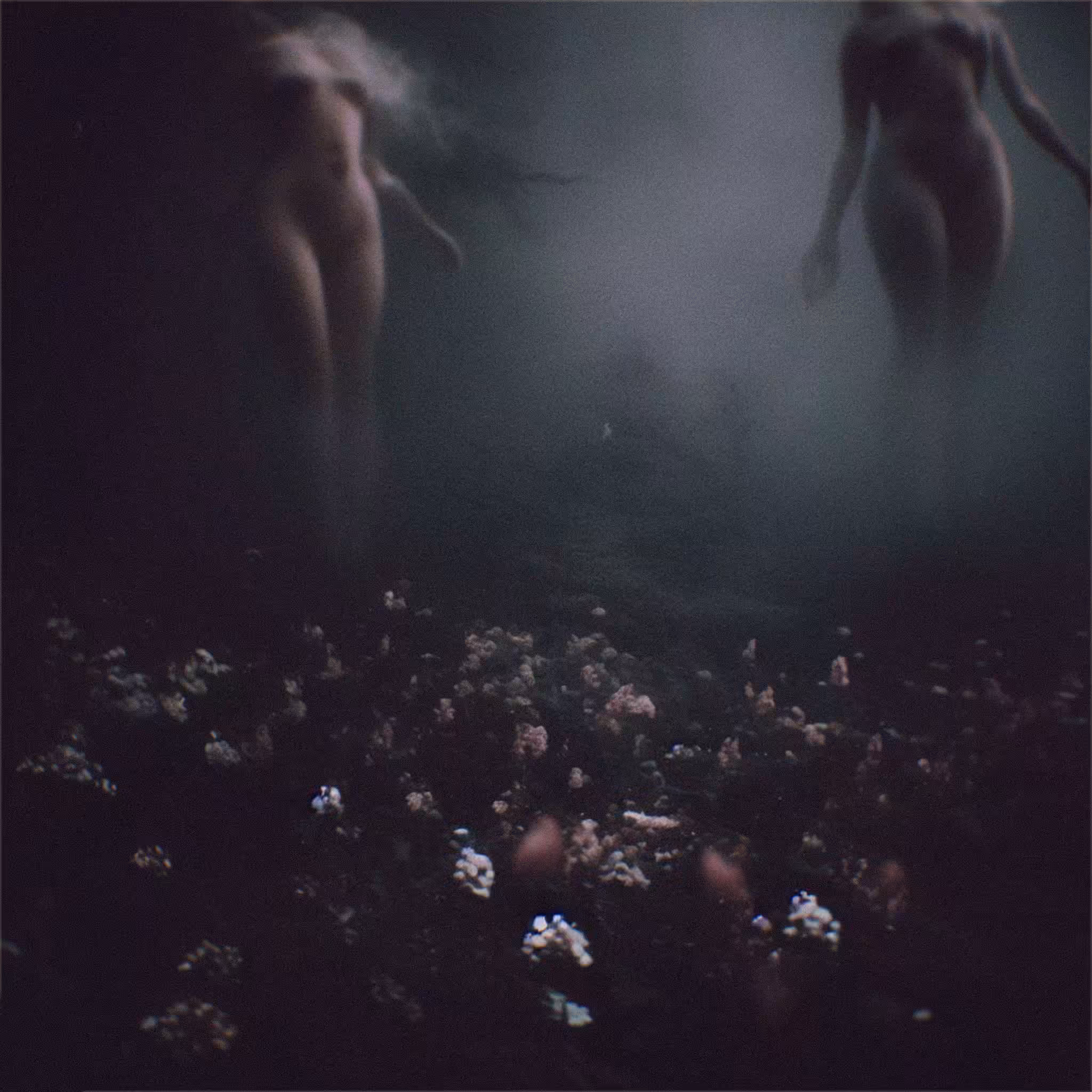 Purgatorium • XIII
