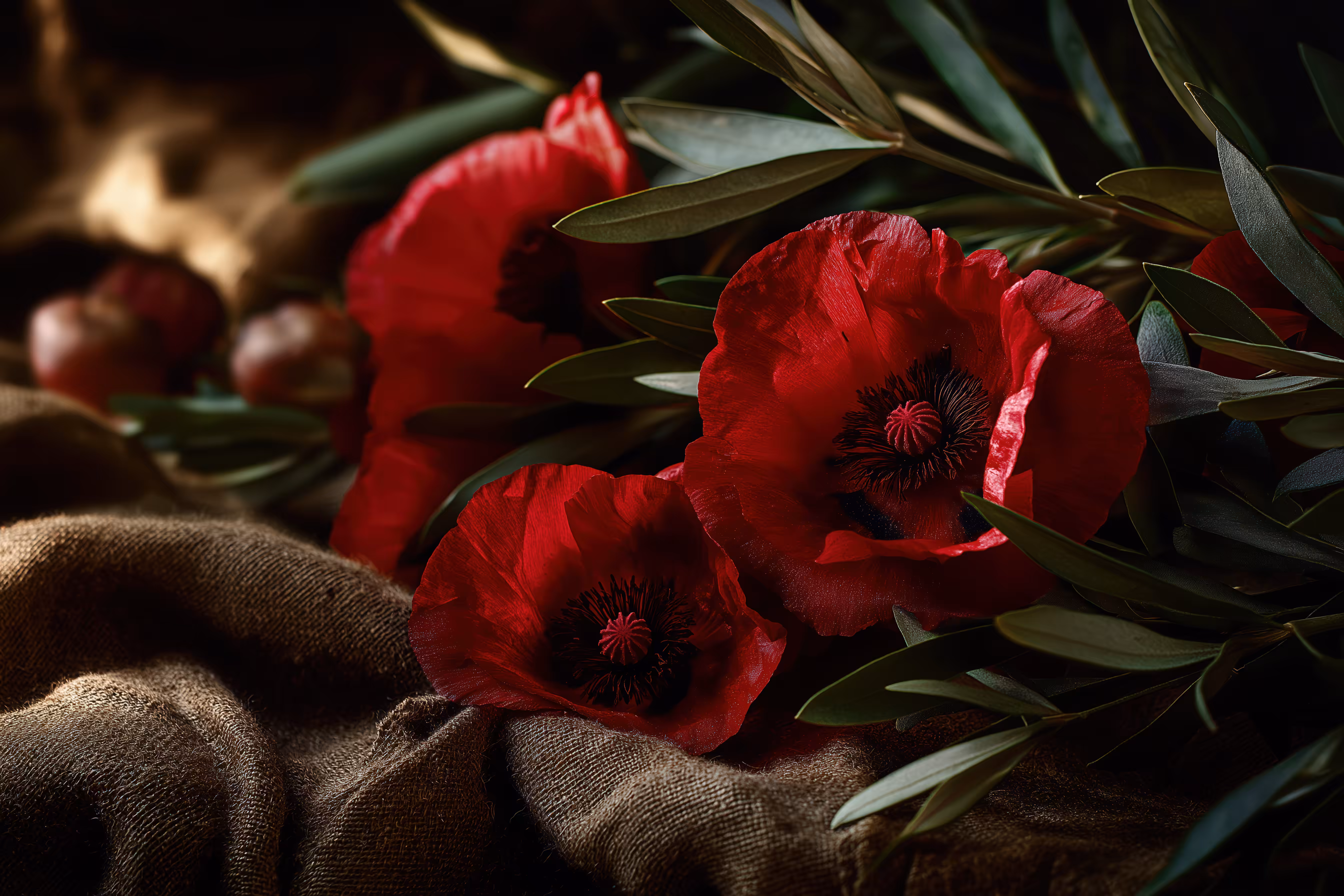 Art for Humanity Palestine : West Bank Blooms