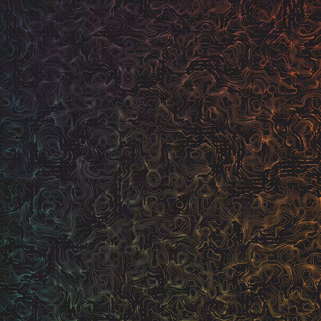 Topographic Lines #18