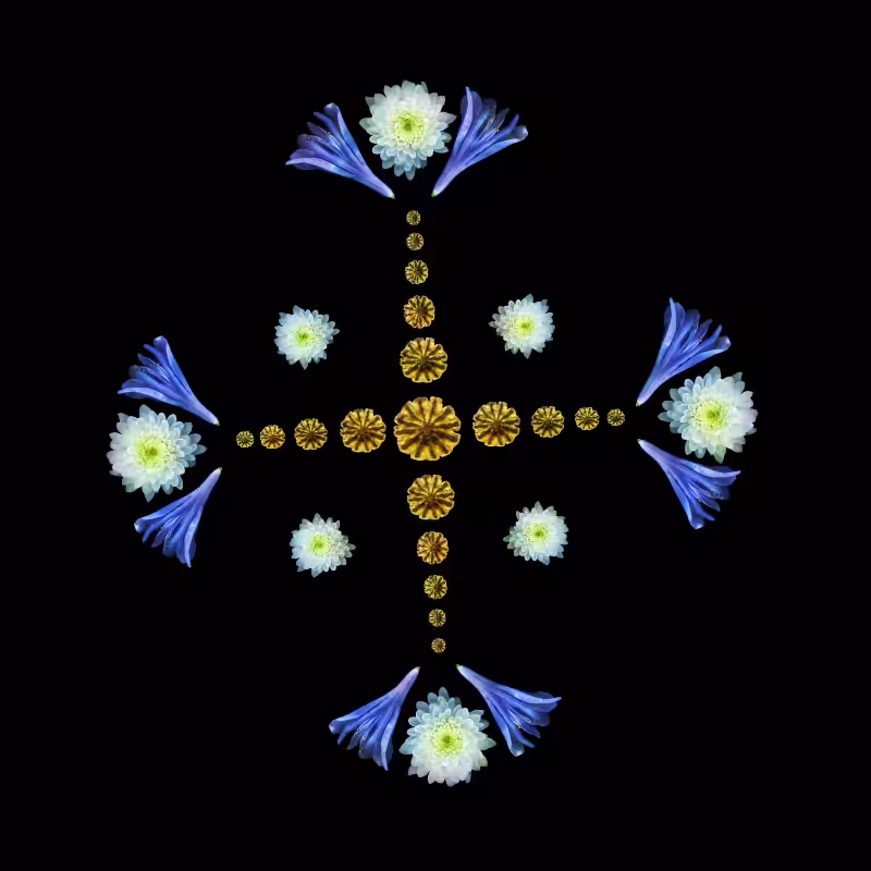 AQUARIUS -the star-
