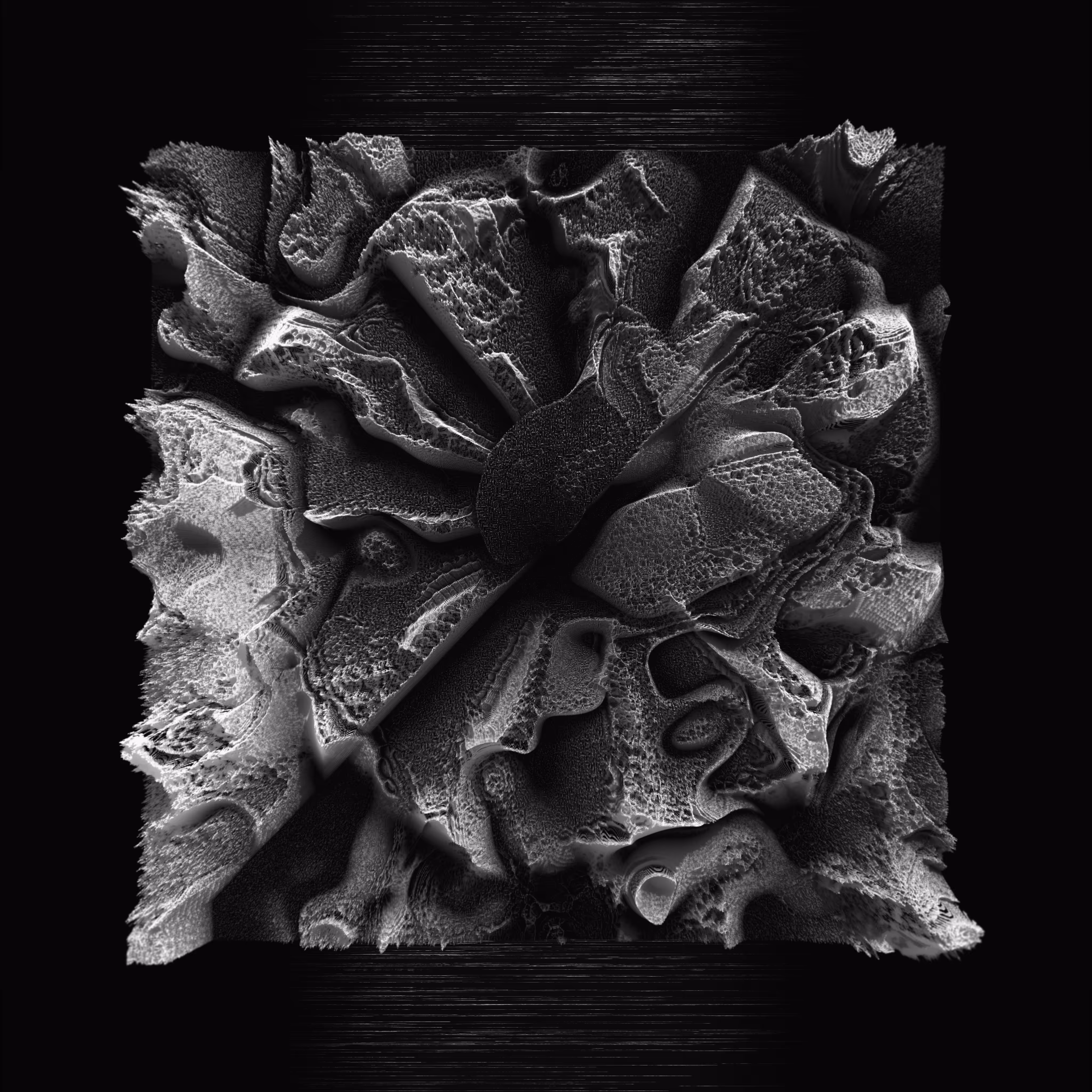 A_Digital_Shell