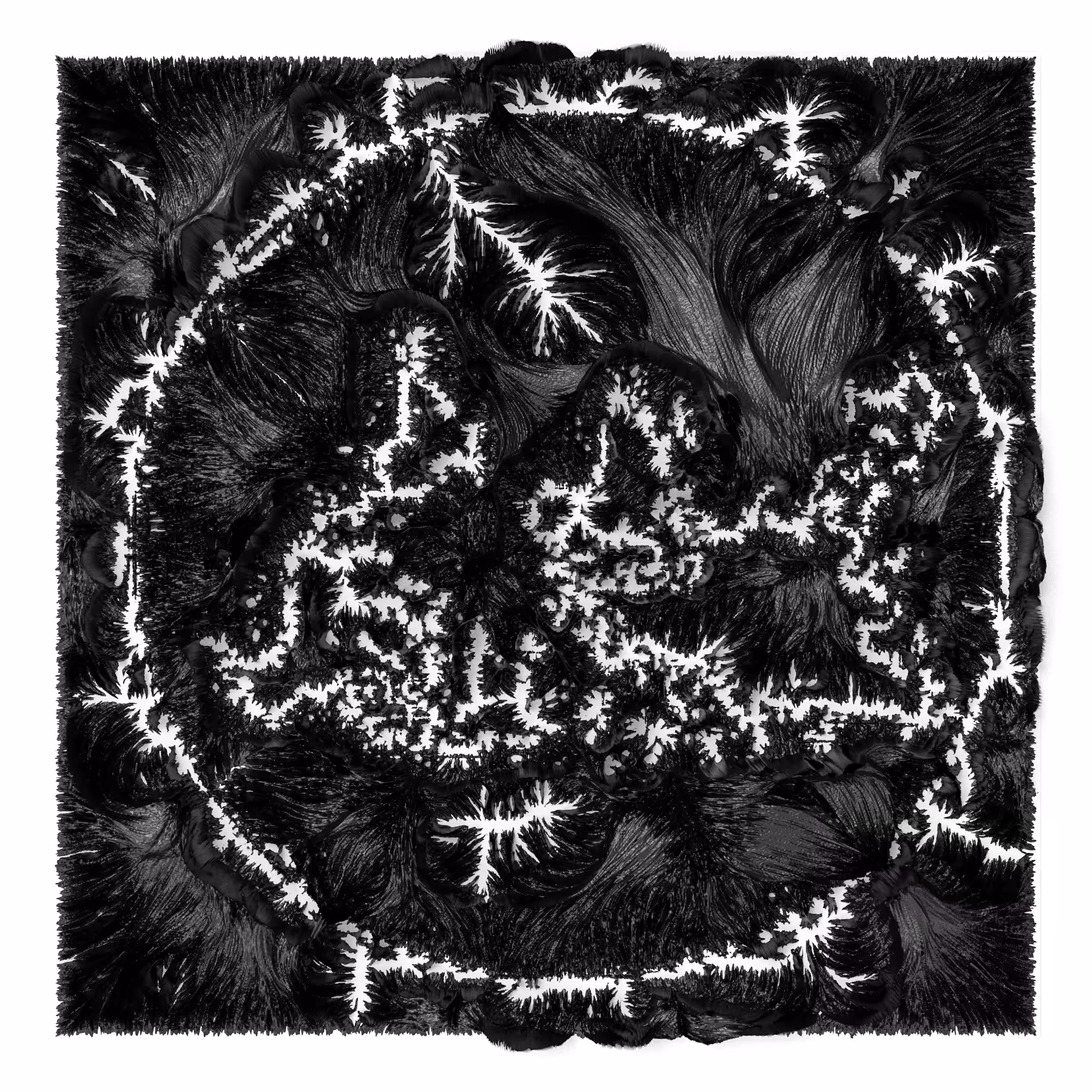 BW Algoscapes 09