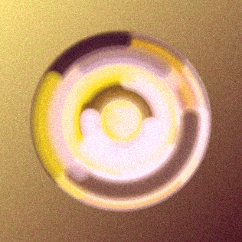 Wisp #156