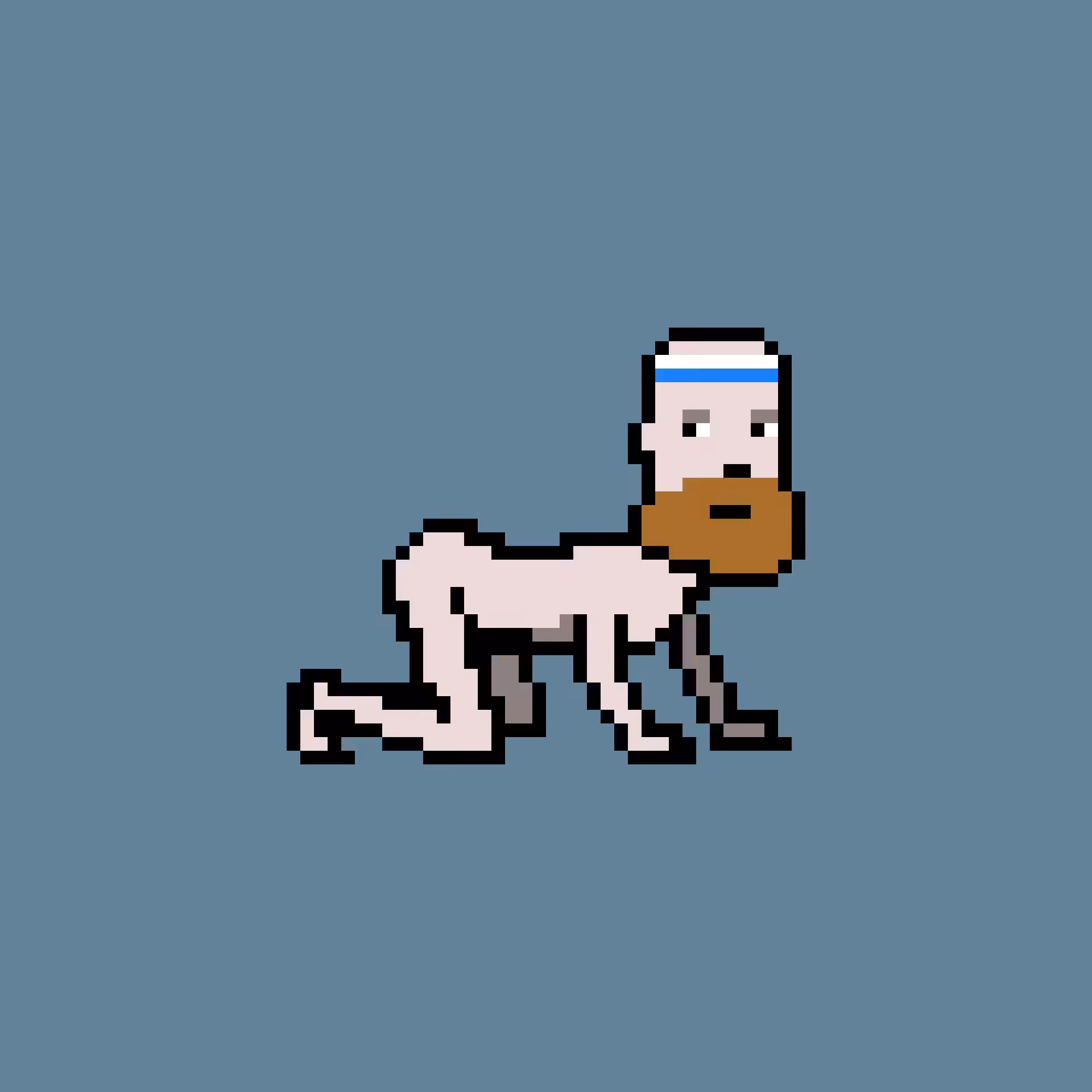 CrawlingPunks: CrawlingPunk #989