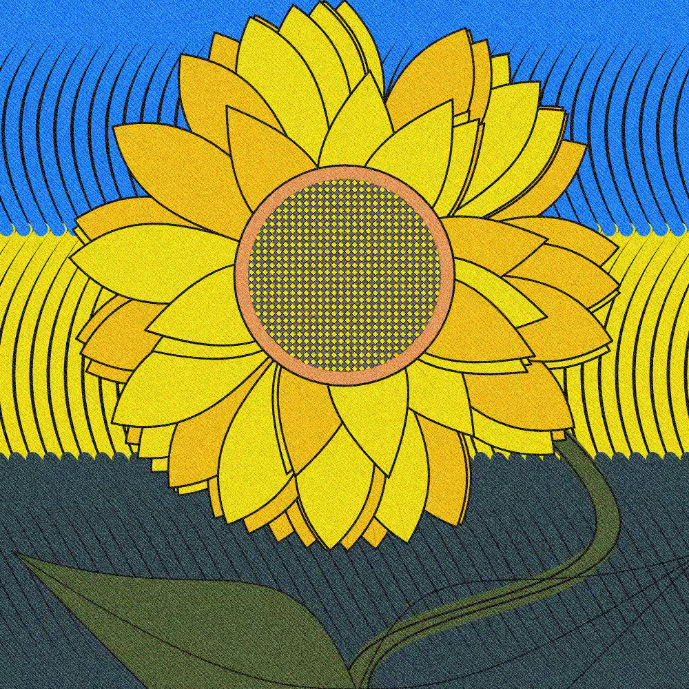  My sunflower #1
