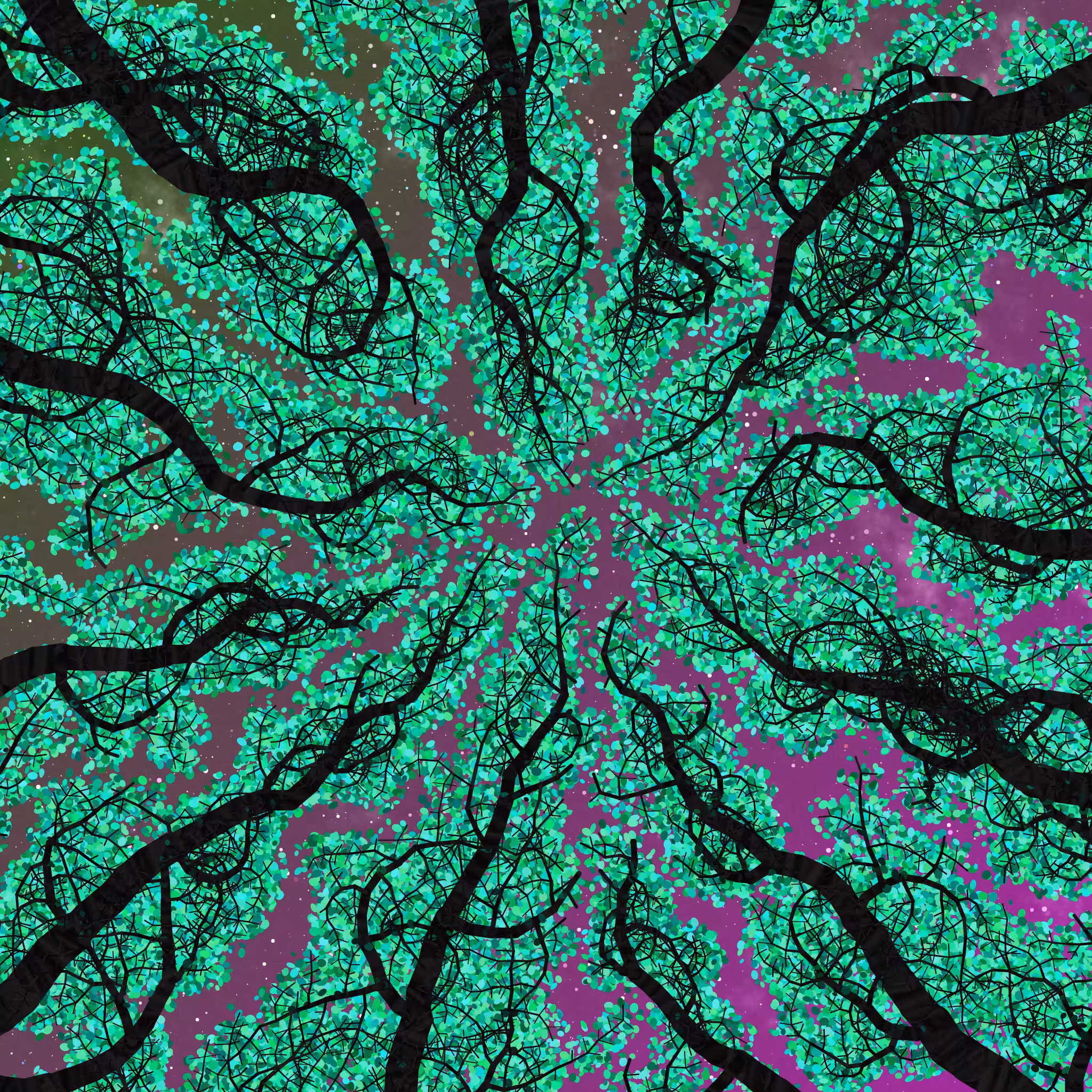 Tree Skyness #110