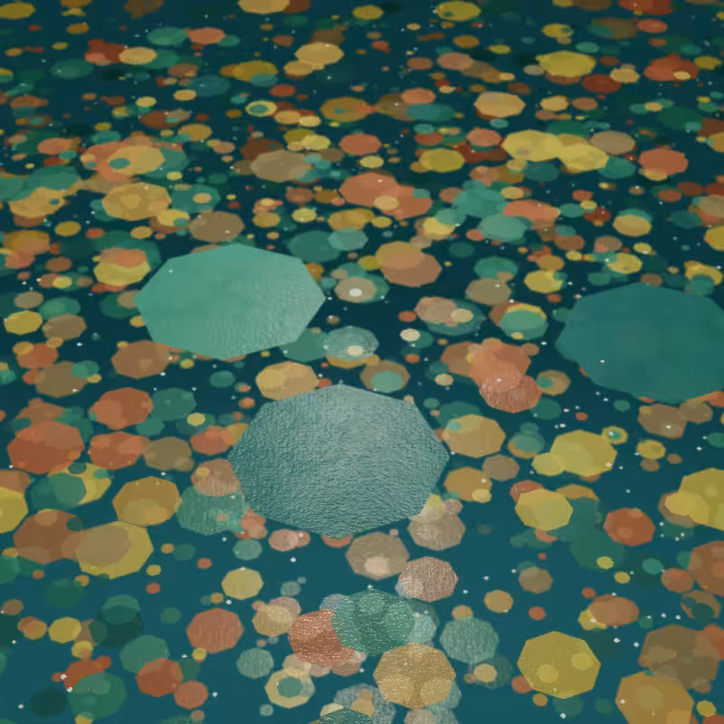 Pond #72
