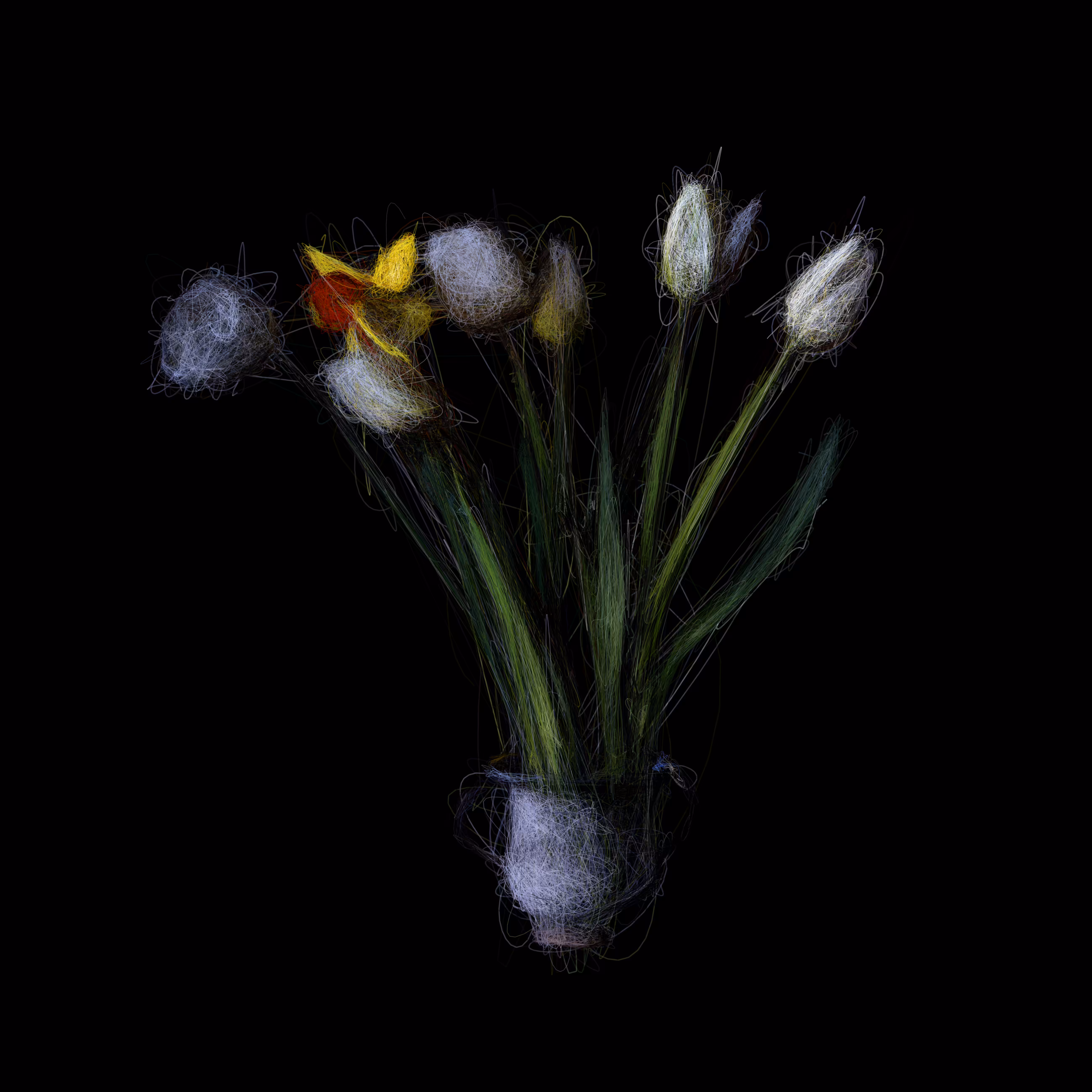 Daffodils and Tulips