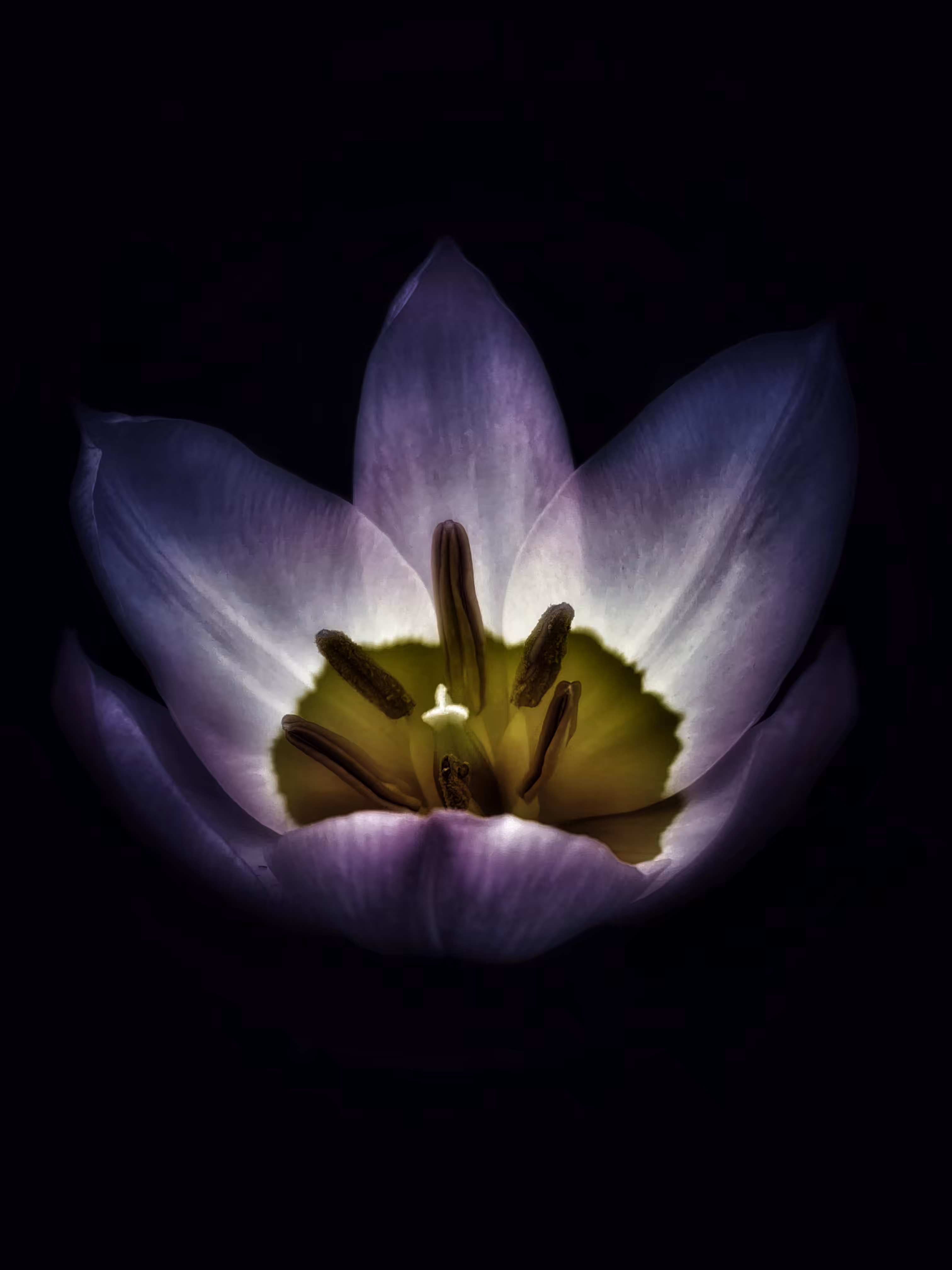 Let Your Light Shine