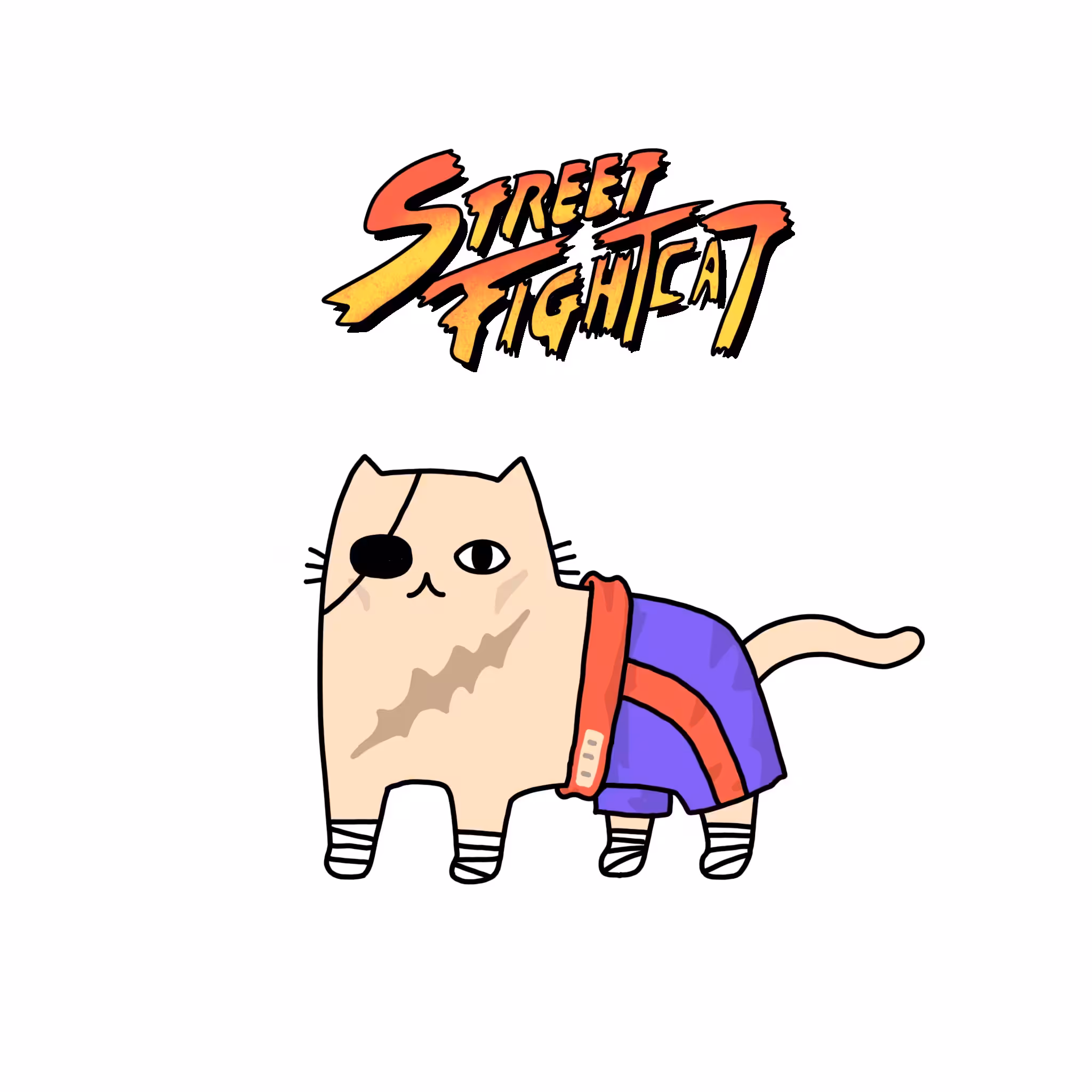 No.85 Street Fight Cat v.2