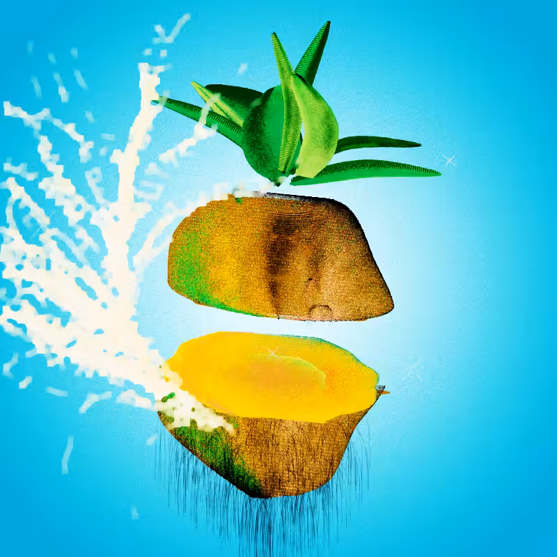 Fresh Fruit #62