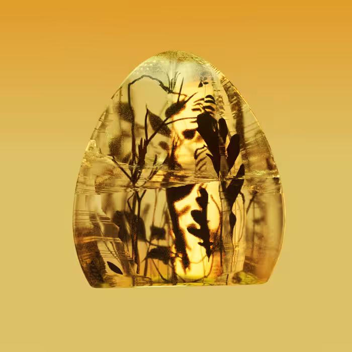 Human-Era Flora In Amber