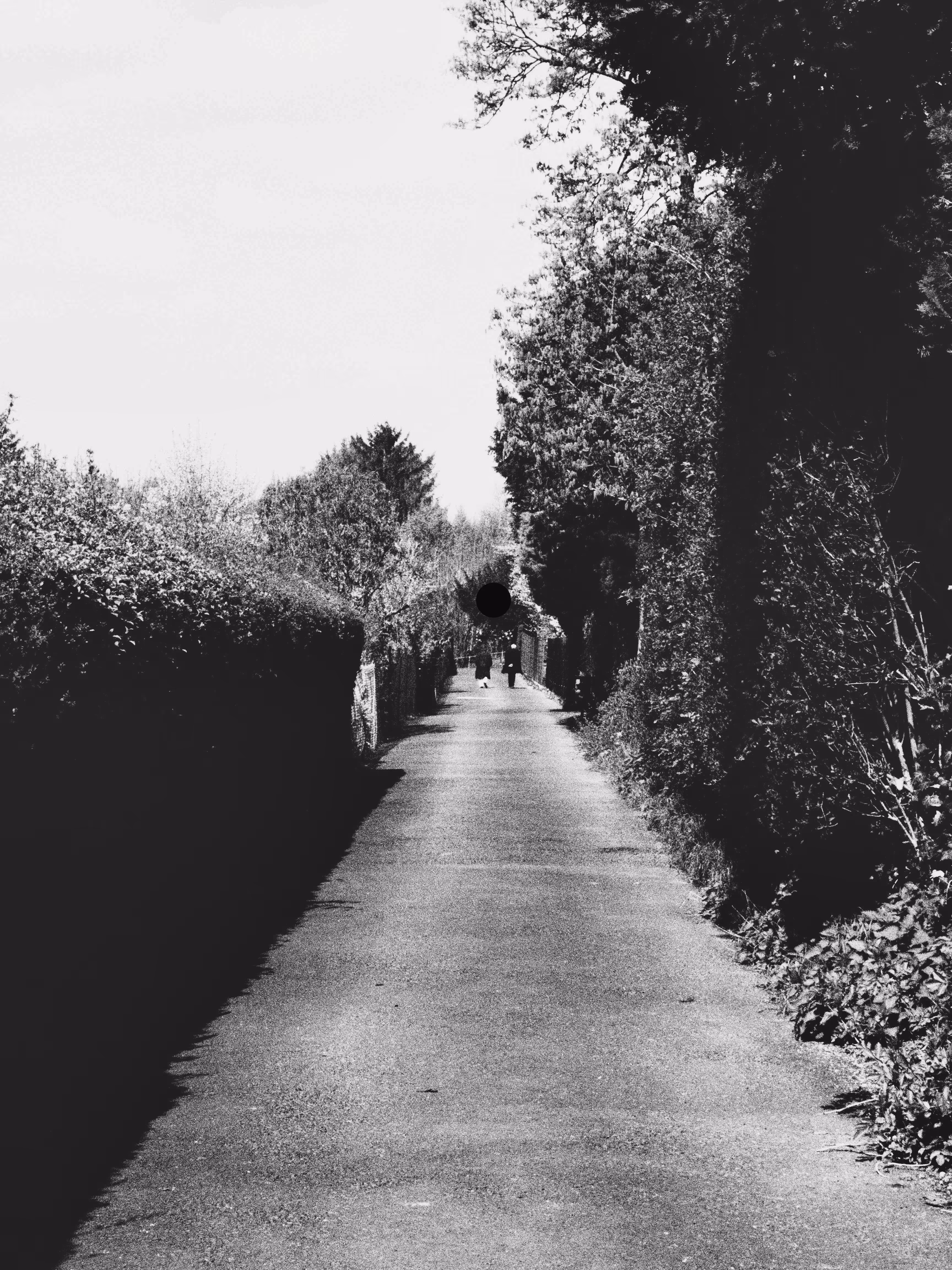 The Black Dot #2 - A Walk