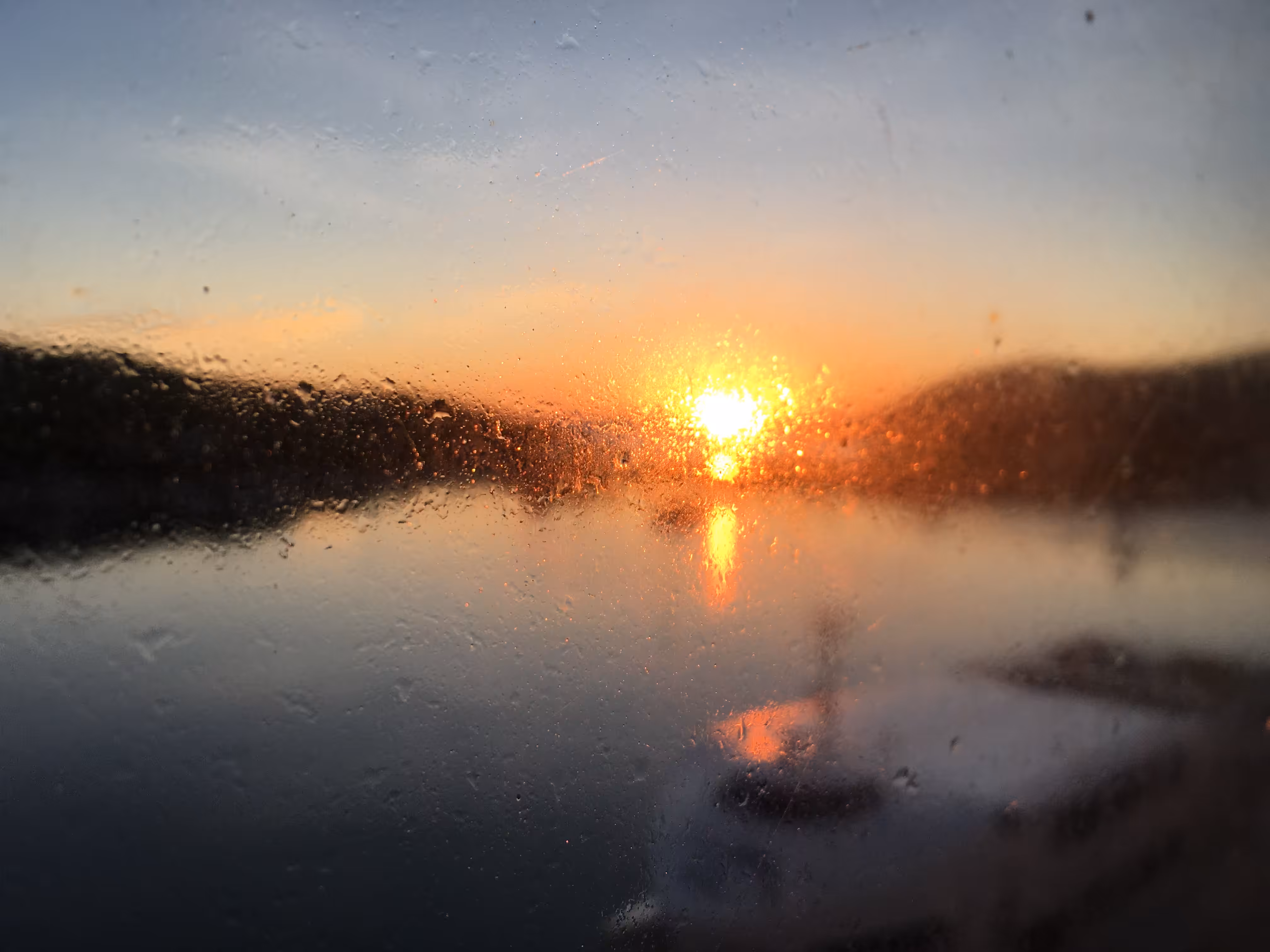 Morning