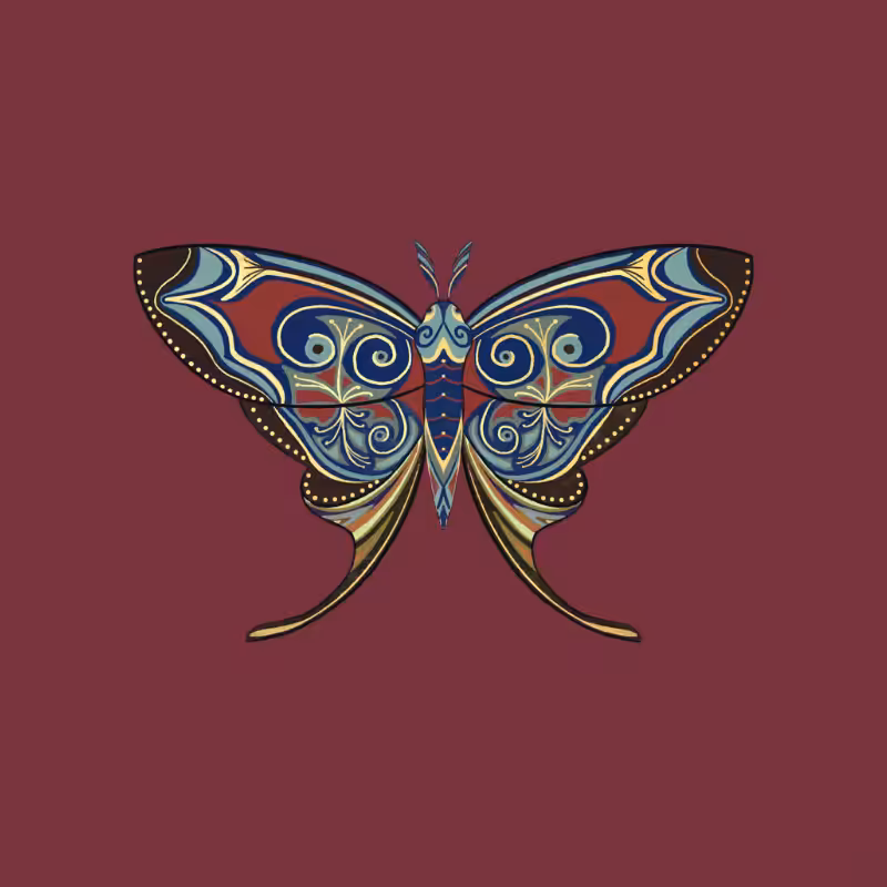 The Moth Experiment - Special Edition #17