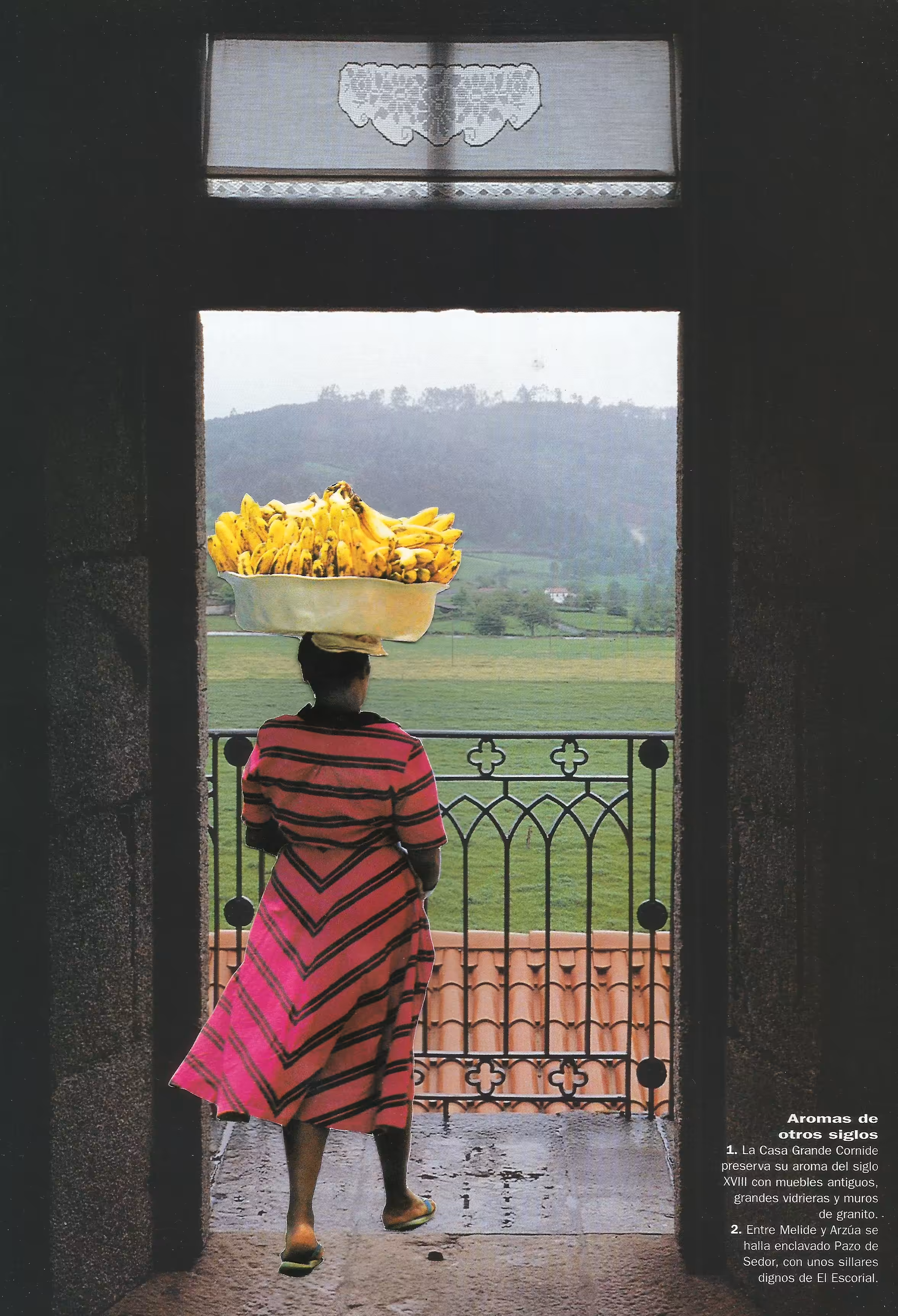 Collage of Dreams: Banane a piedi Galizia