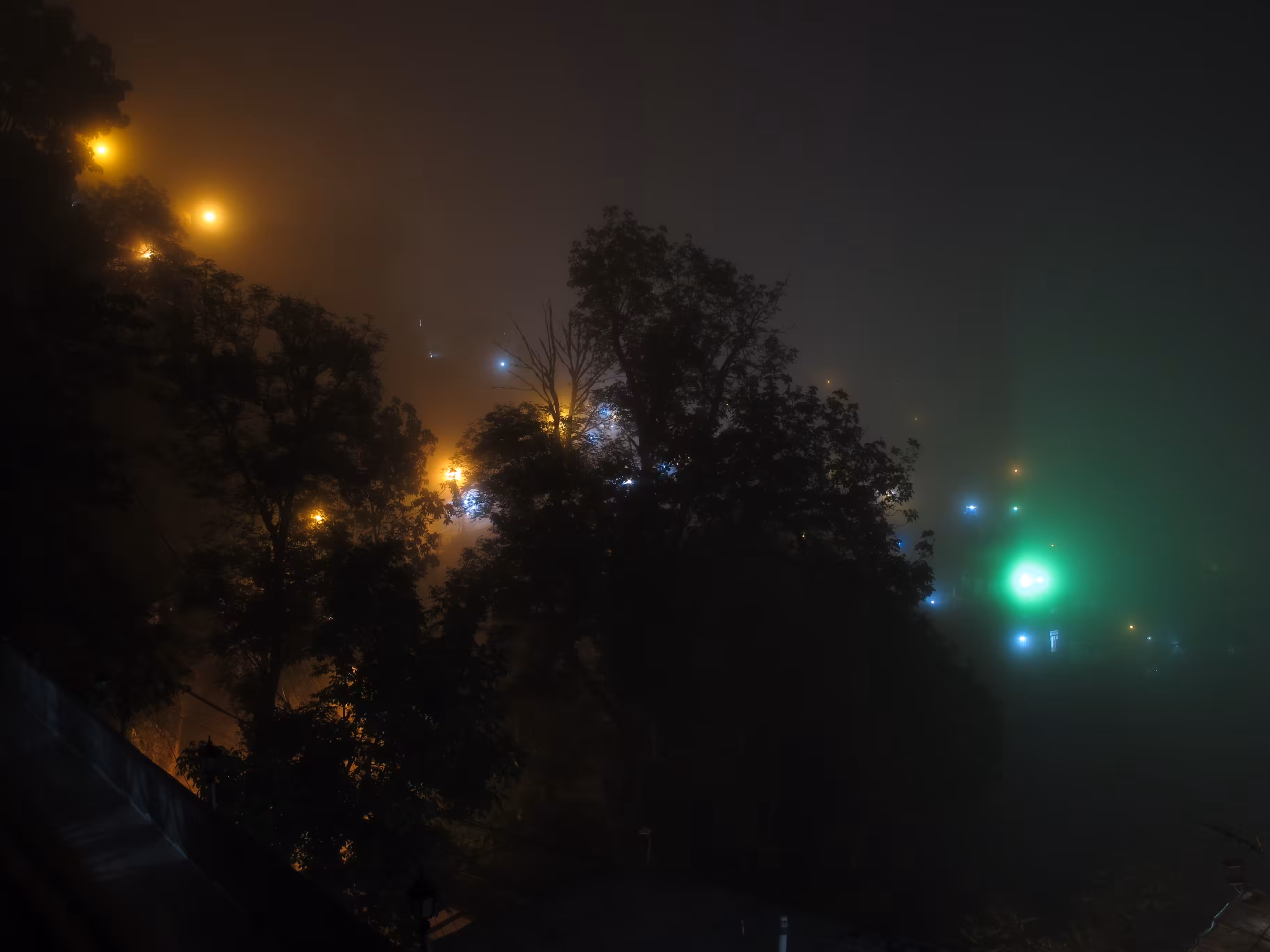 Night and fog