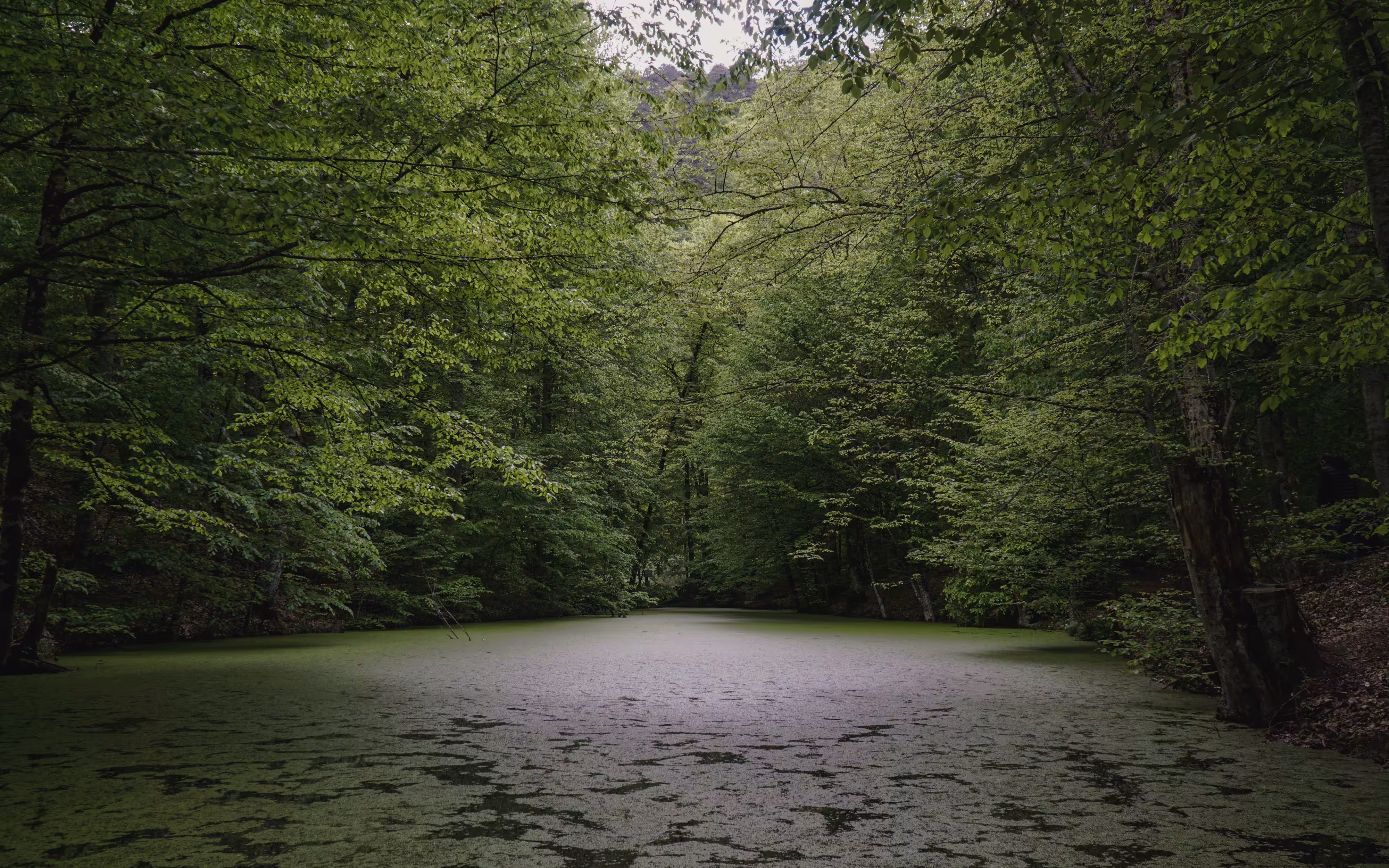 Mystic Lake