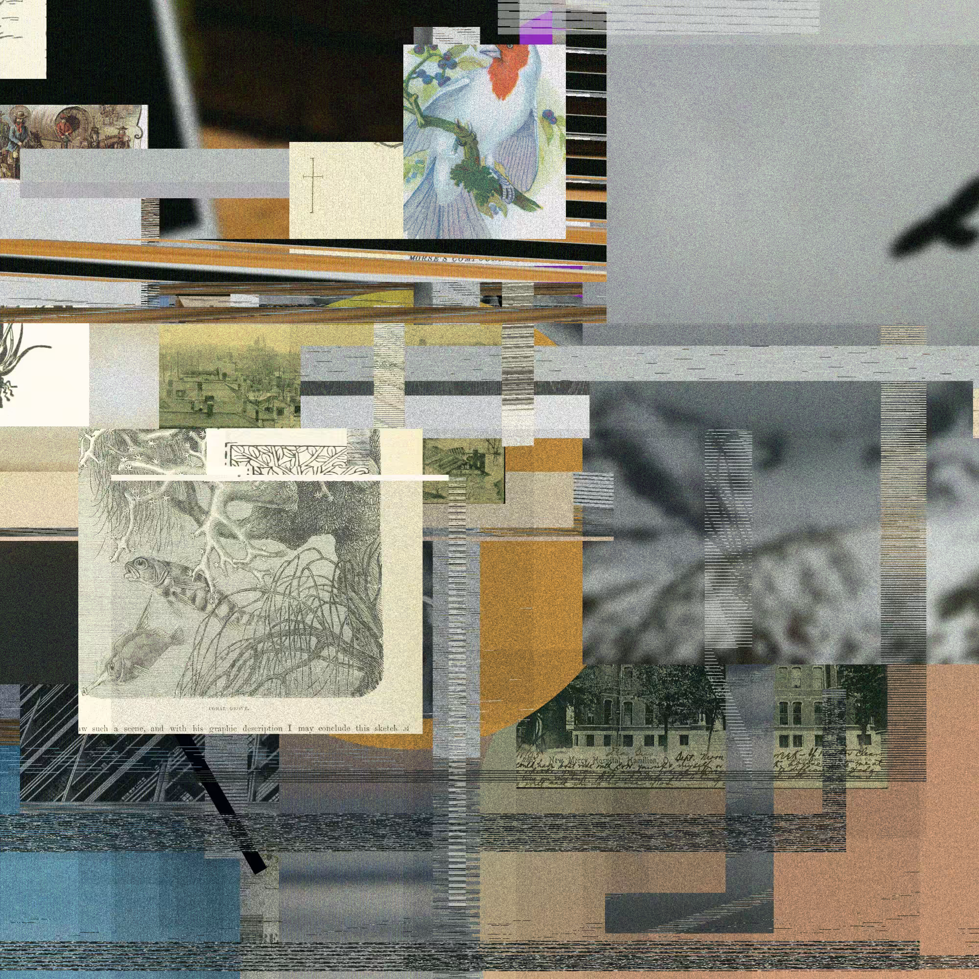 Unconscious Collages #1592